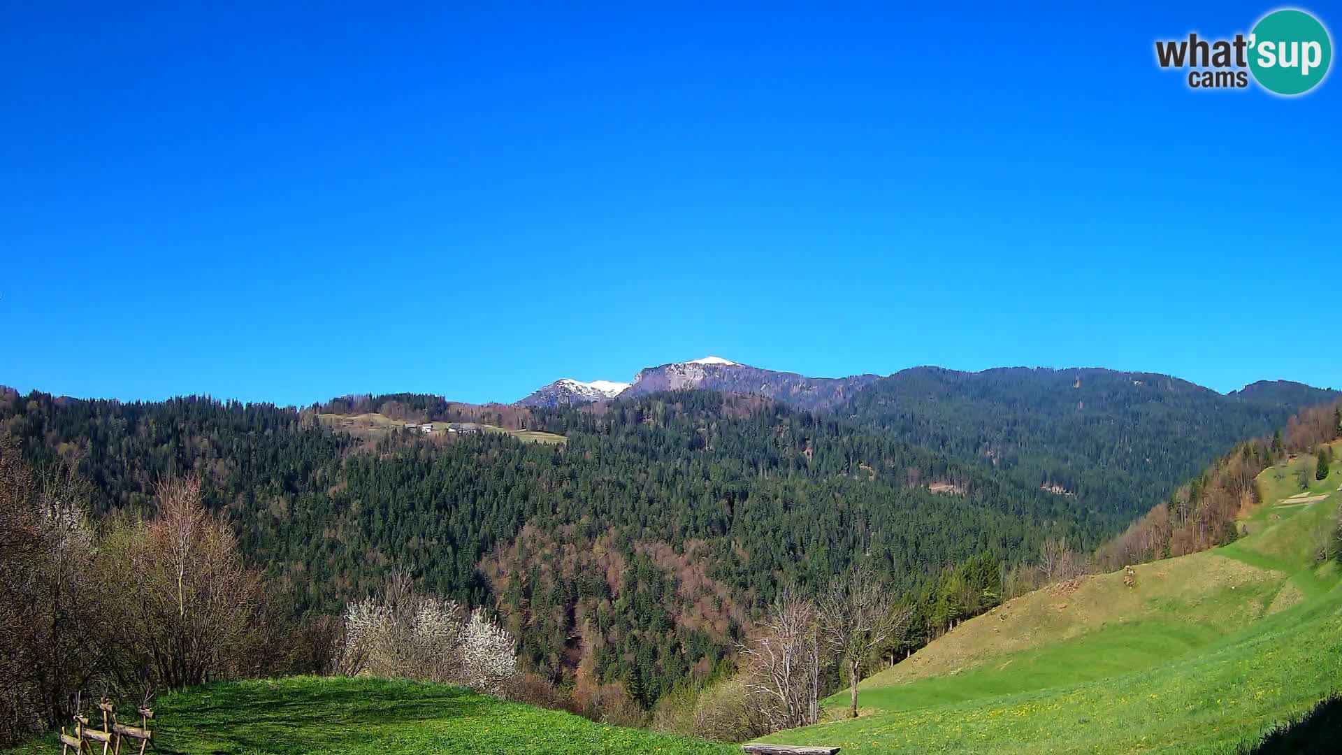 Web kamera Brunarica Dražgoše – Pogled uživo na Ratitovec (1666 m)