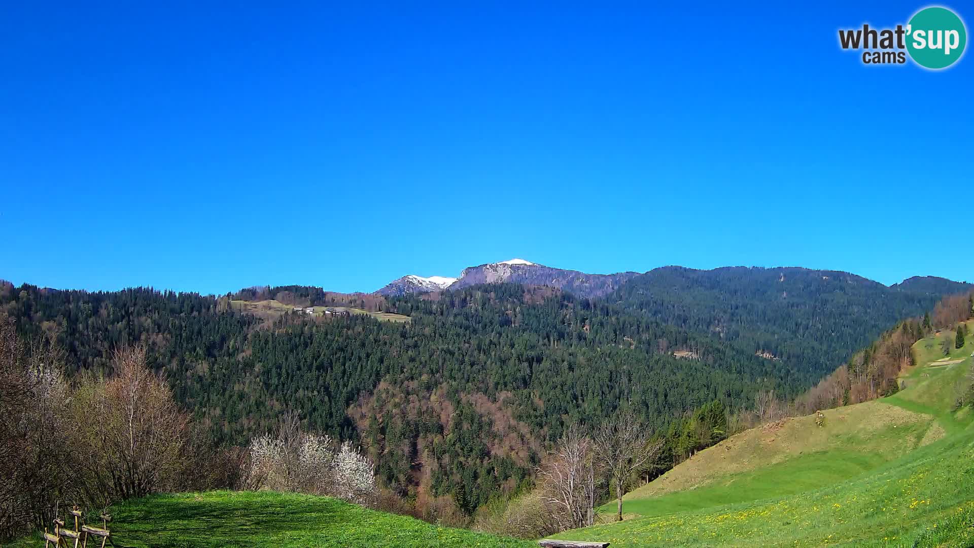 Webcam Brunarica Dražgoše – Vista live sul Ratitovec (1666 m)