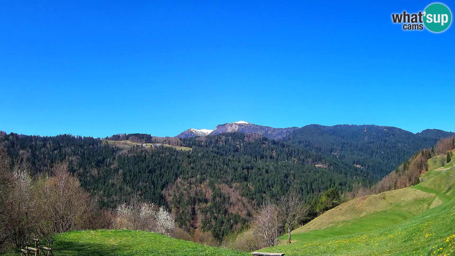 Webcam Brunarica Dražgoše – Liveblick auf Ratitovec (1666 m)