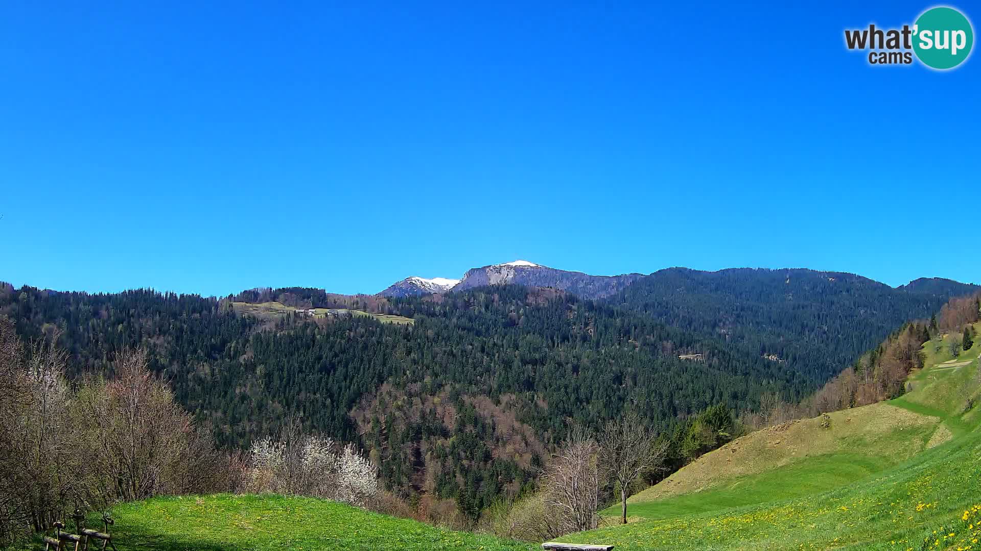 Webcam Brunarica Dražgoše – Liveblick auf Ratitovec (1666 m)