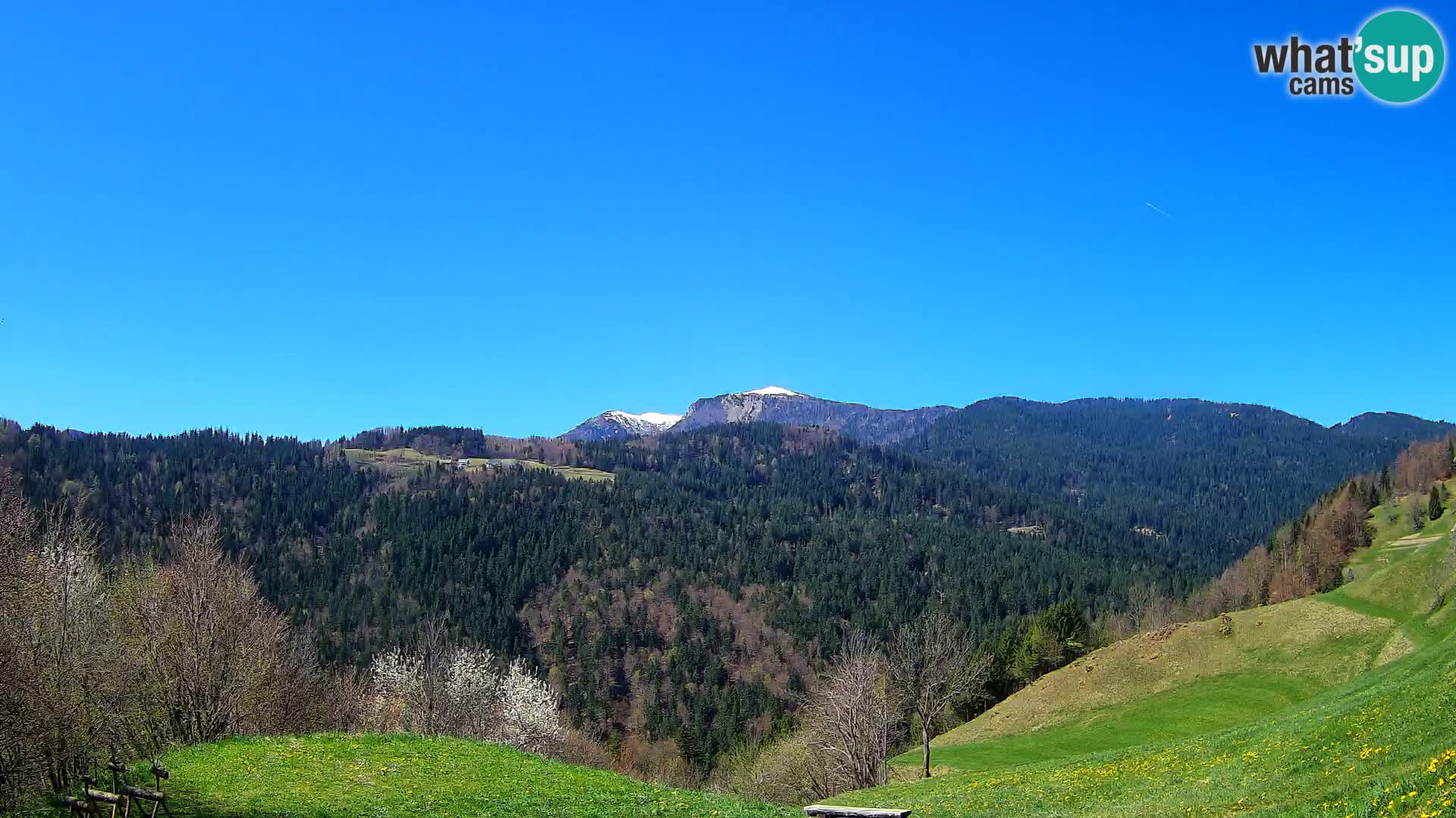 Webcam Brunarica Dražgoše – Vista live sul Ratitovec (1666 m)