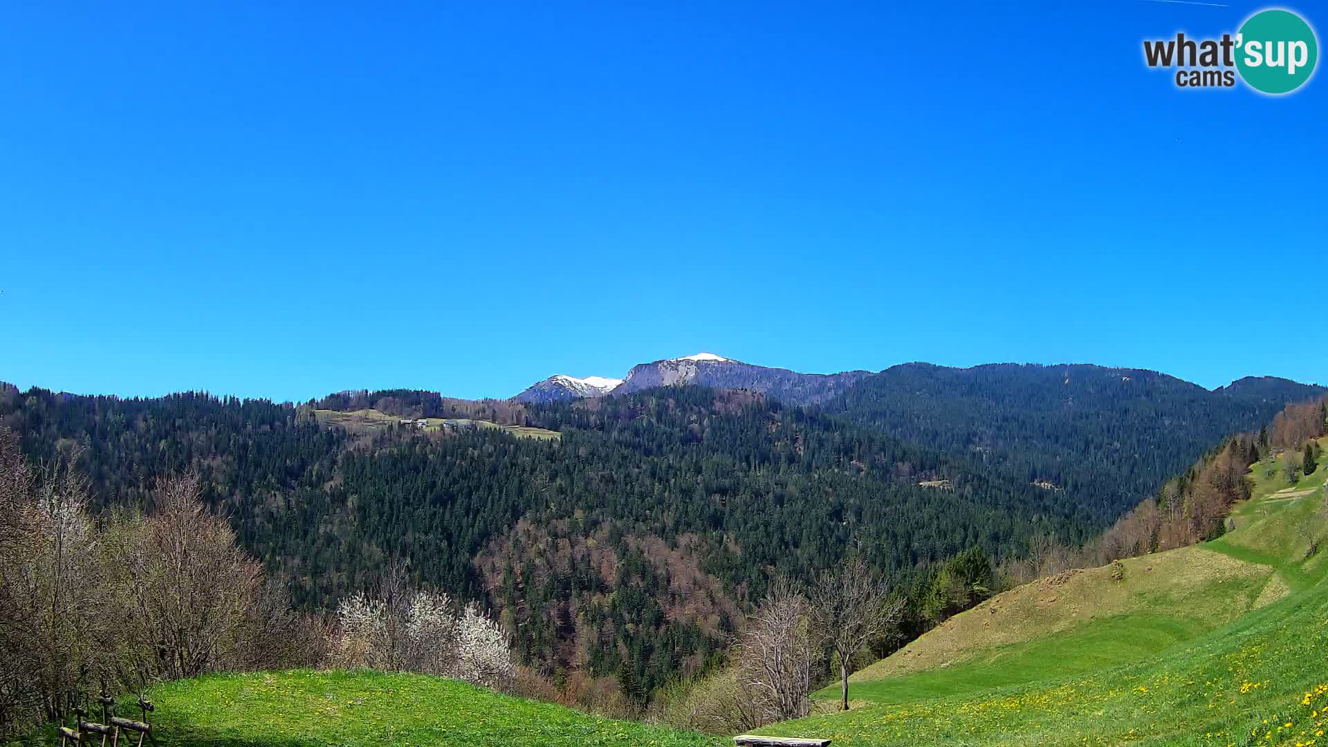 Webcam Brunarica Dražgoše – Vista live sul Ratitovec (1666 m)