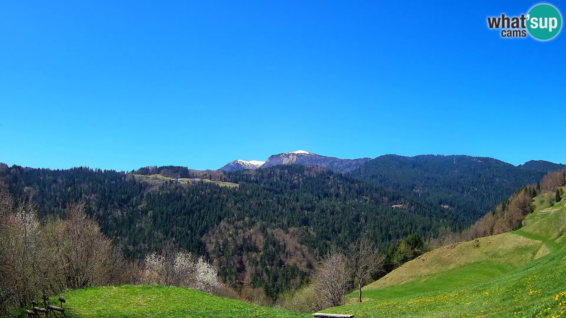 Webcam Brunarica Dražgoše – Liveblick auf Ratitovec (1666 m)