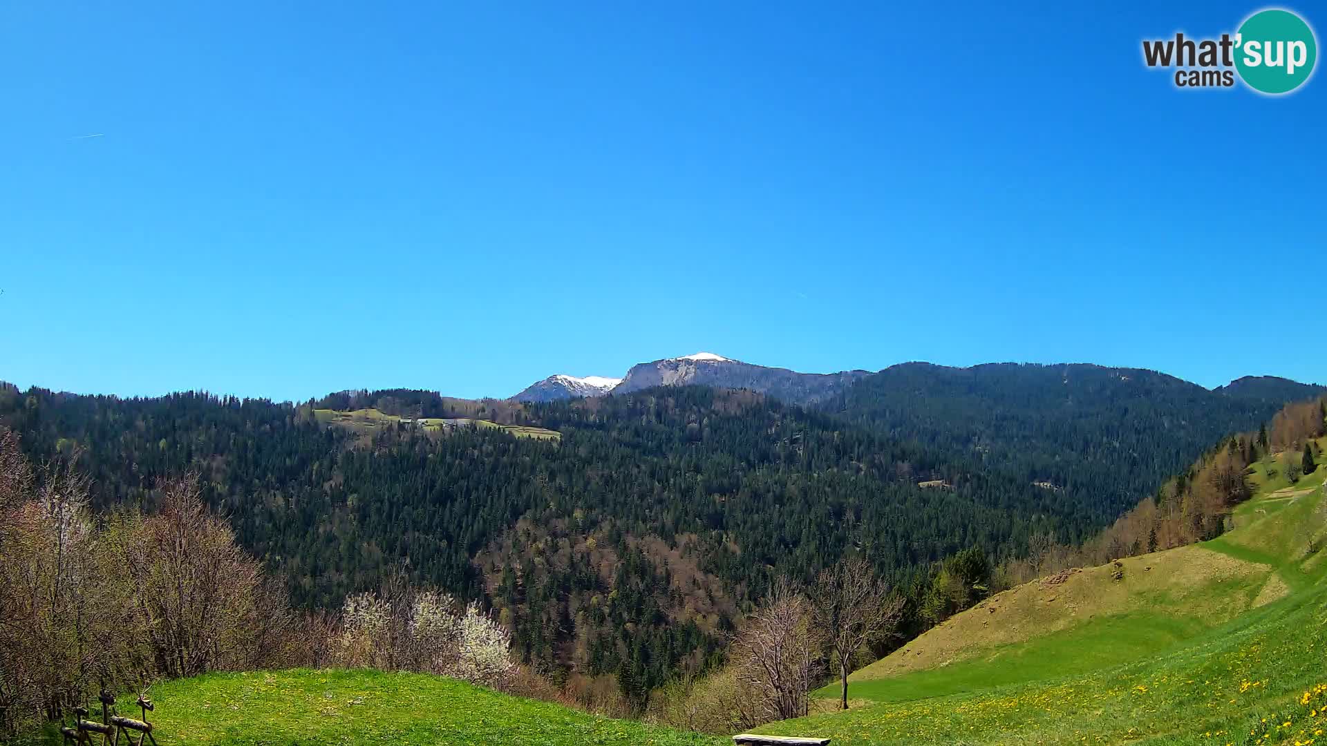 Web kamera Brunarica Dražgoše – Pogled uživo na Ratitovec (1666 m)