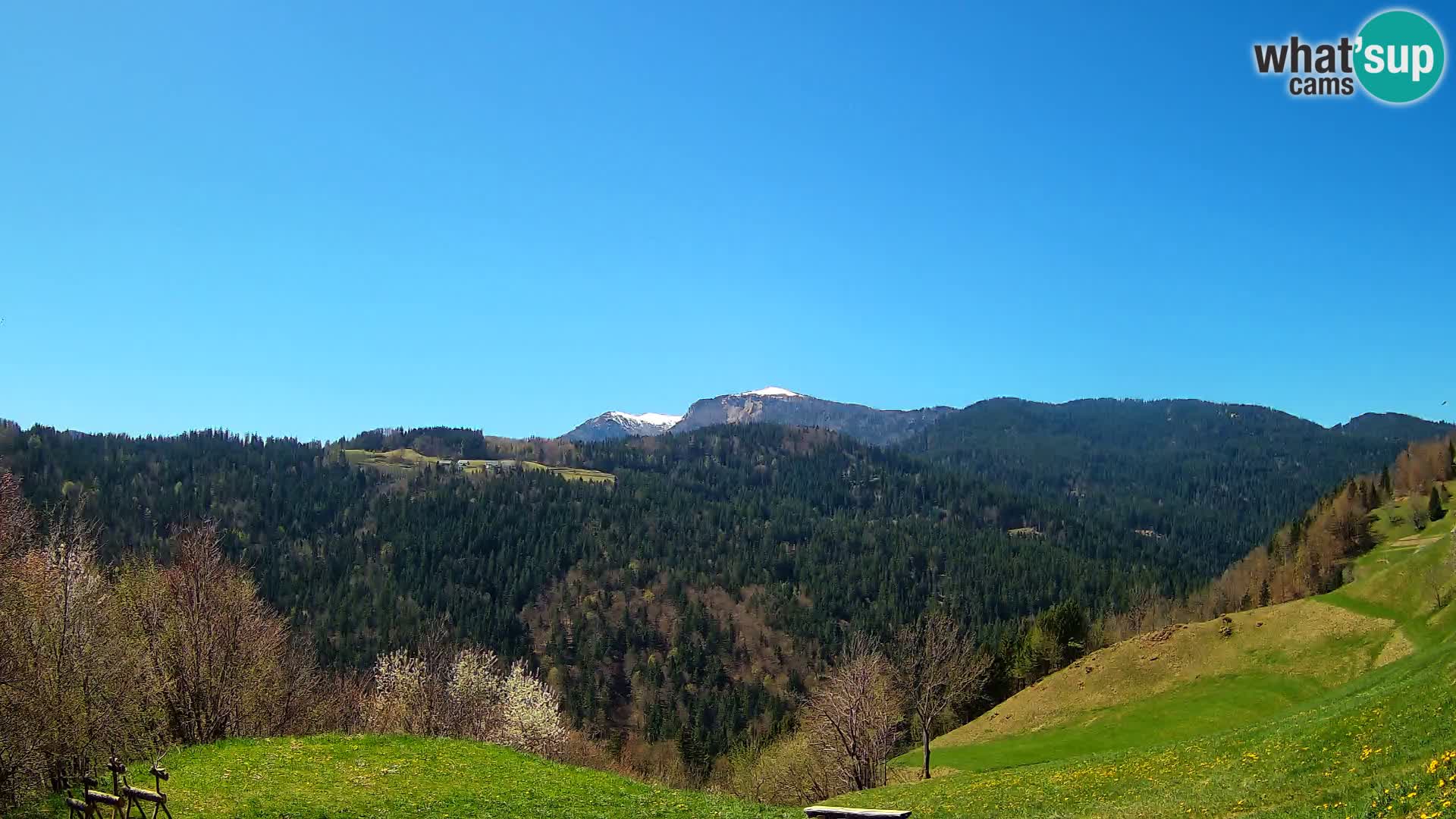 Webcam Brunarica Dražgoše – Live View of Ratitovec (1666 m)