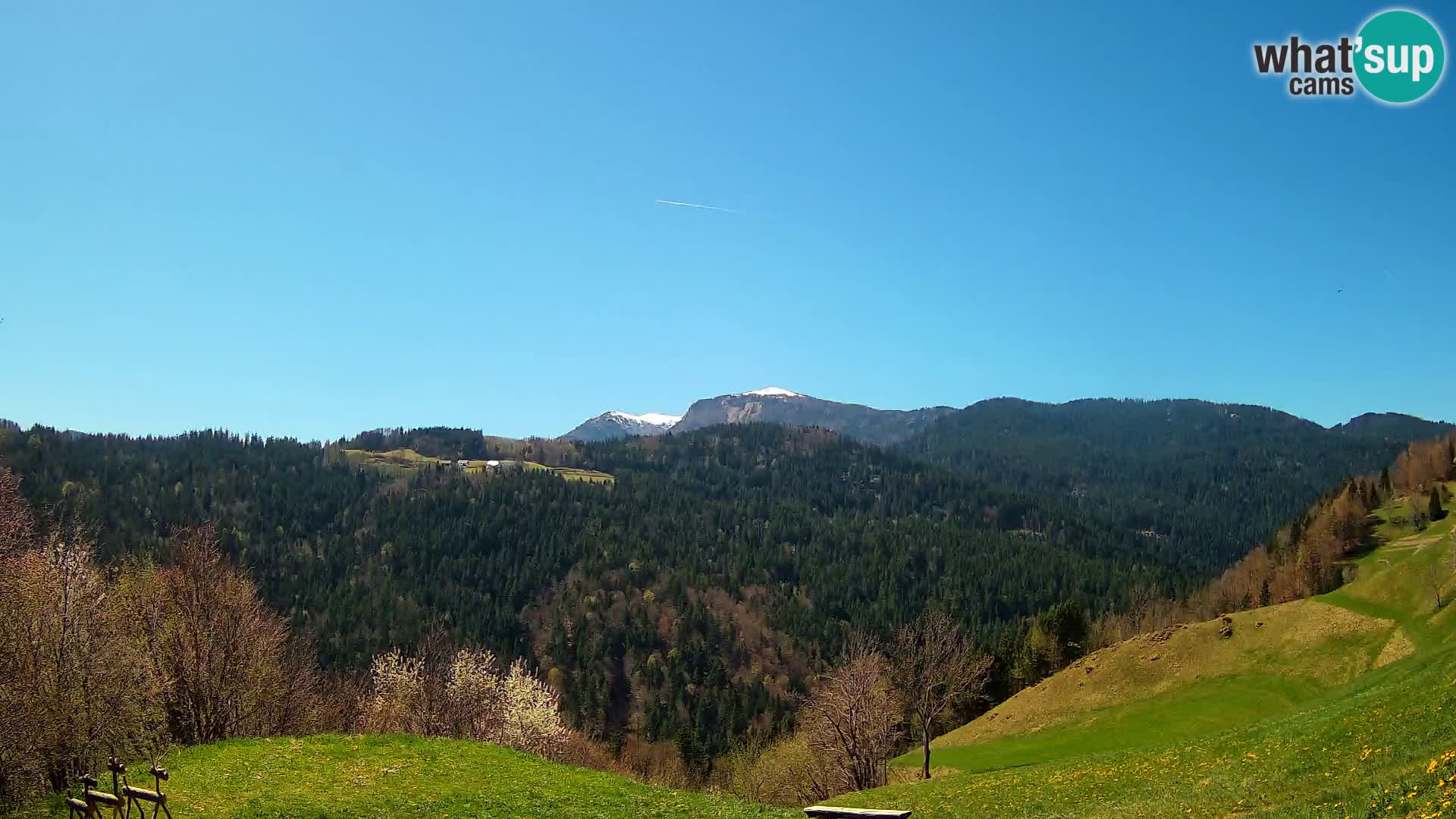 Webcam Brunarica Dražgoše – Vista live sul Ratitovec (1666 m)