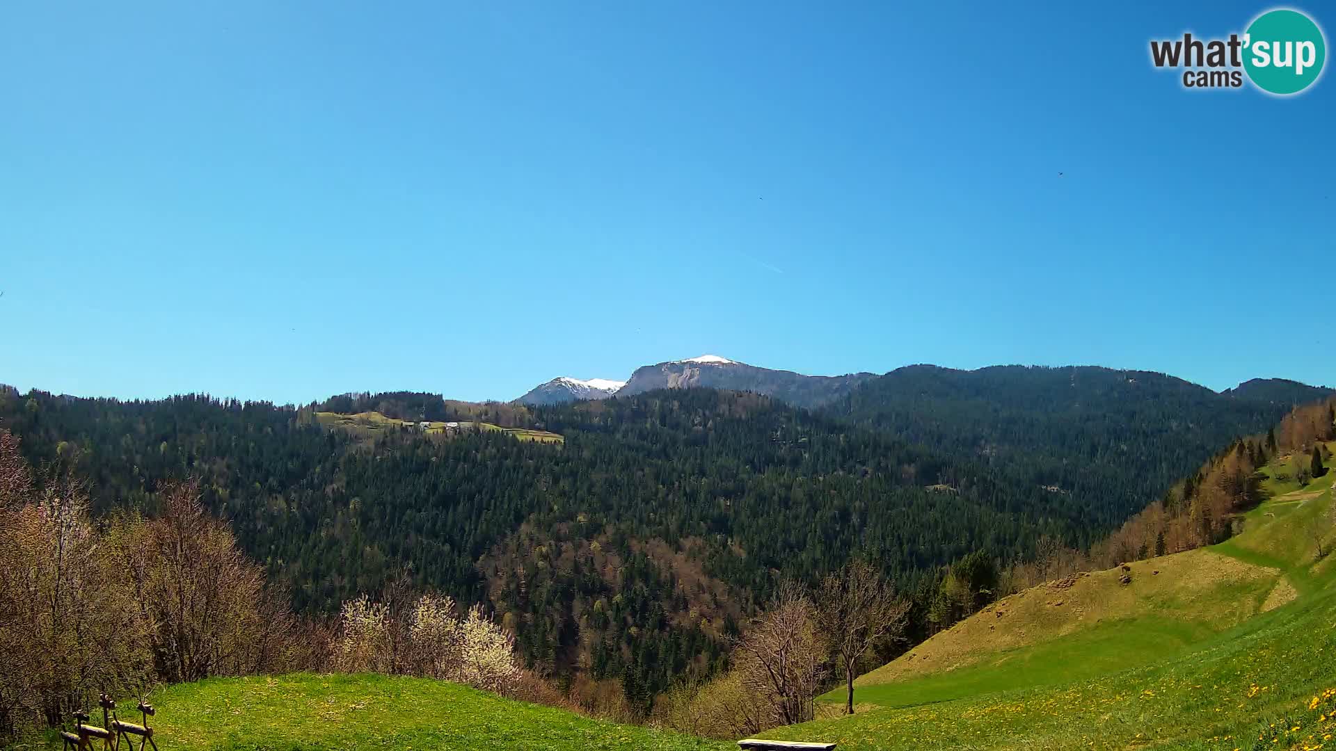 Webcam Brunarica Dražgoše – Vista live sul Ratitovec (1666 m)