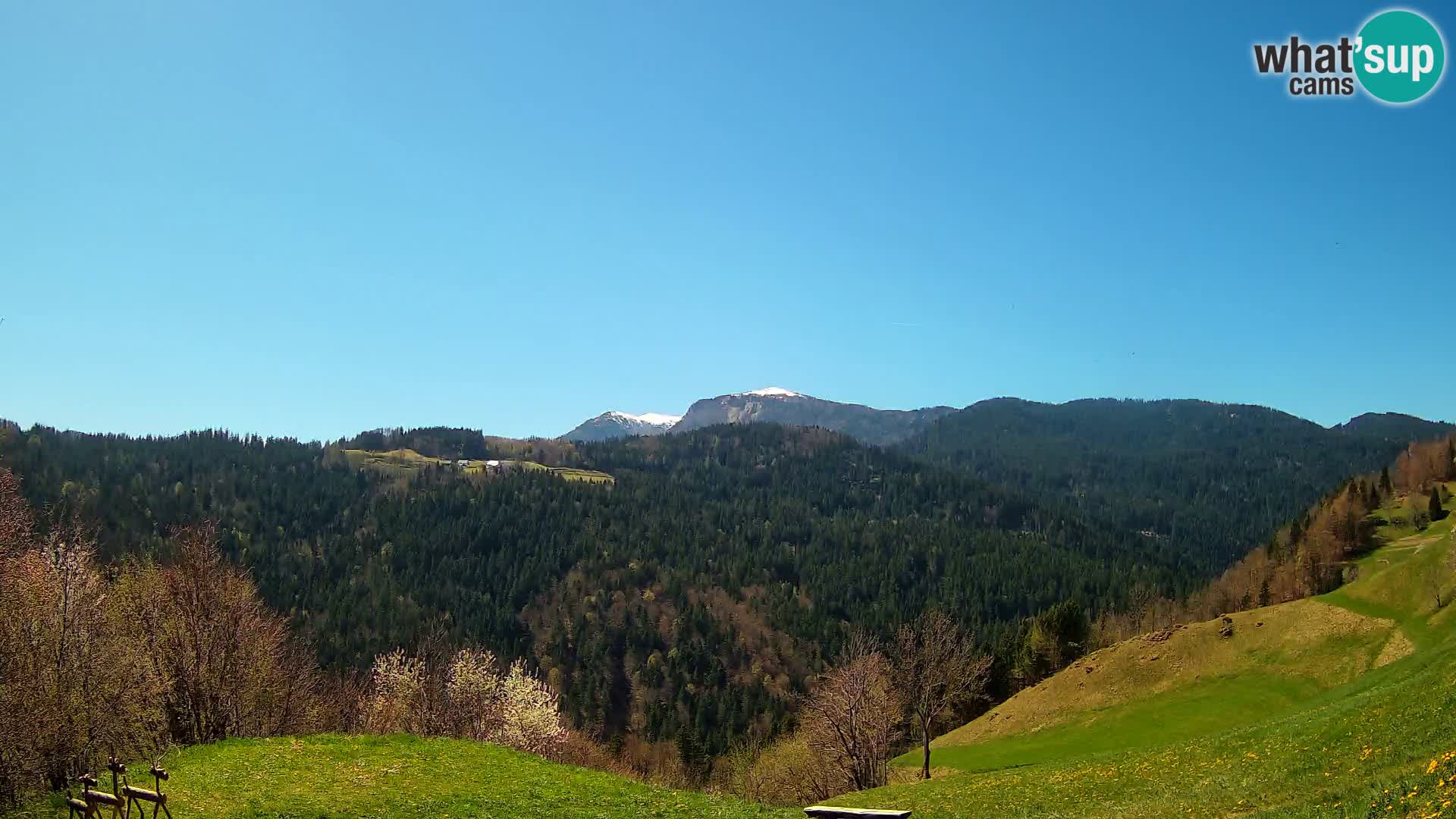 Webcam Brunarica Dražgoše – Vista live sul Ratitovec (1666 m)