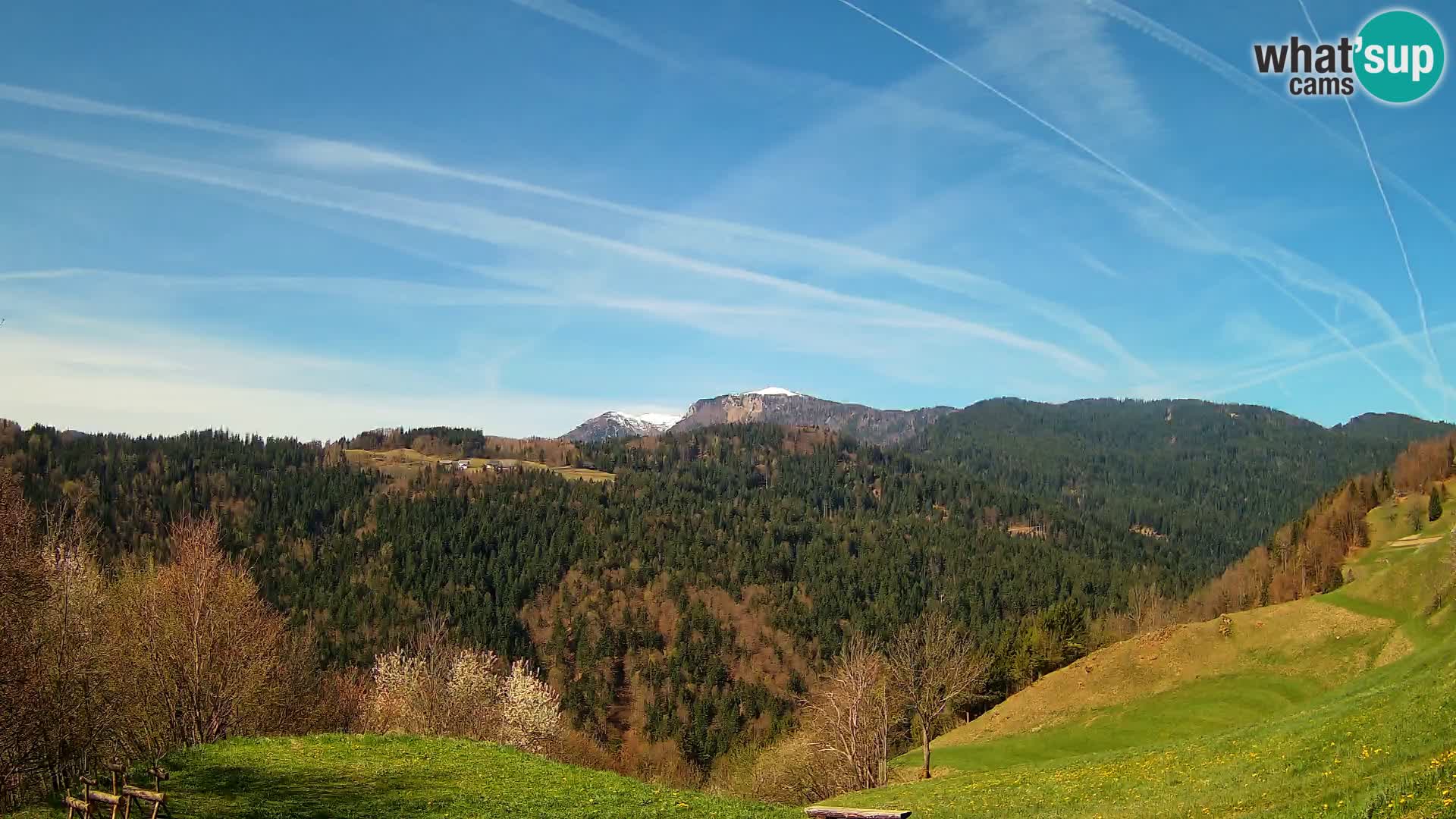 Webcam Brunarica Dražgoše – Live View of Ratitovec (1666 m)