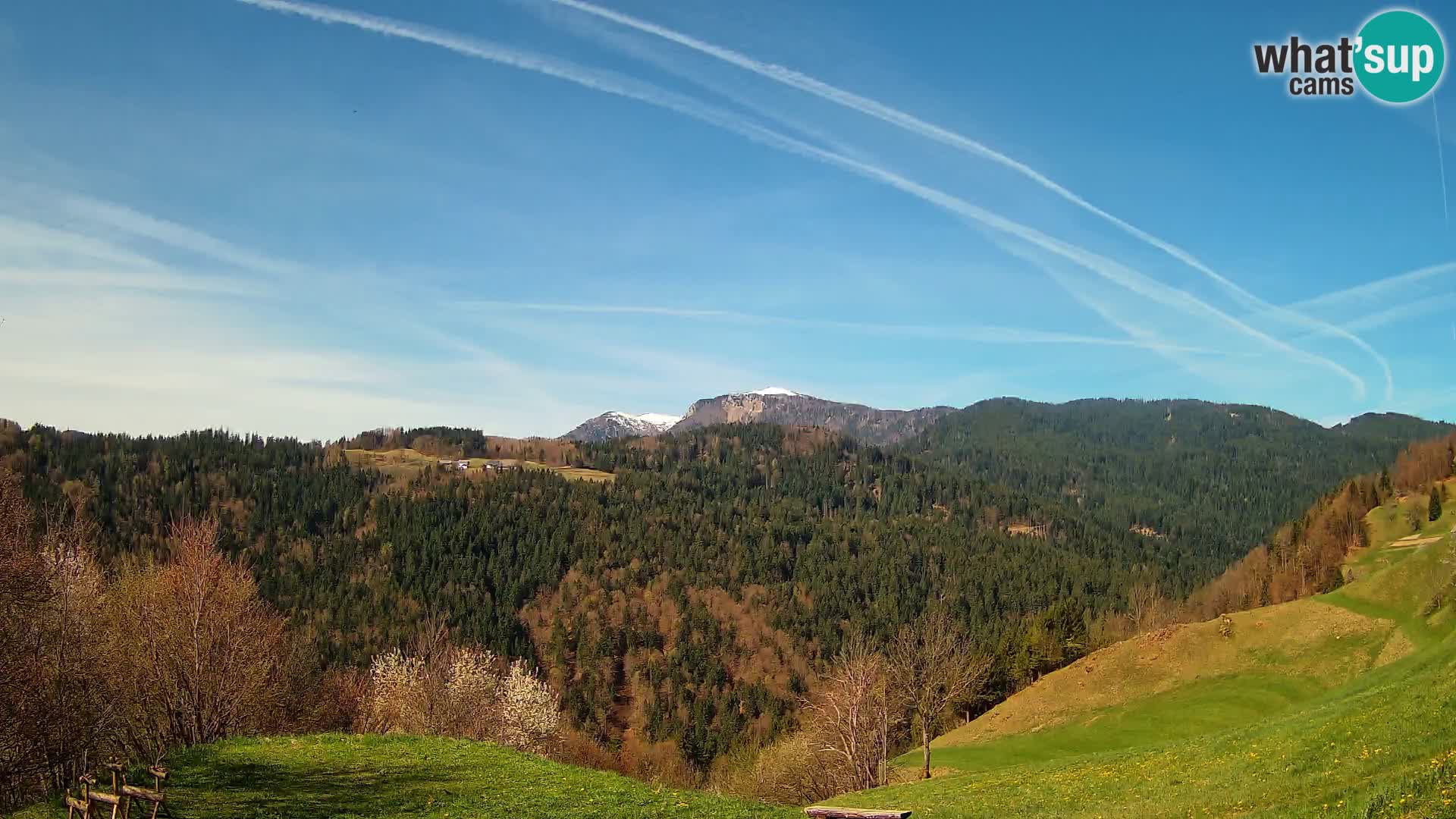 Web kamera Brunarica Dražgoše – Pogled uživo na Ratitovec (1666 m)