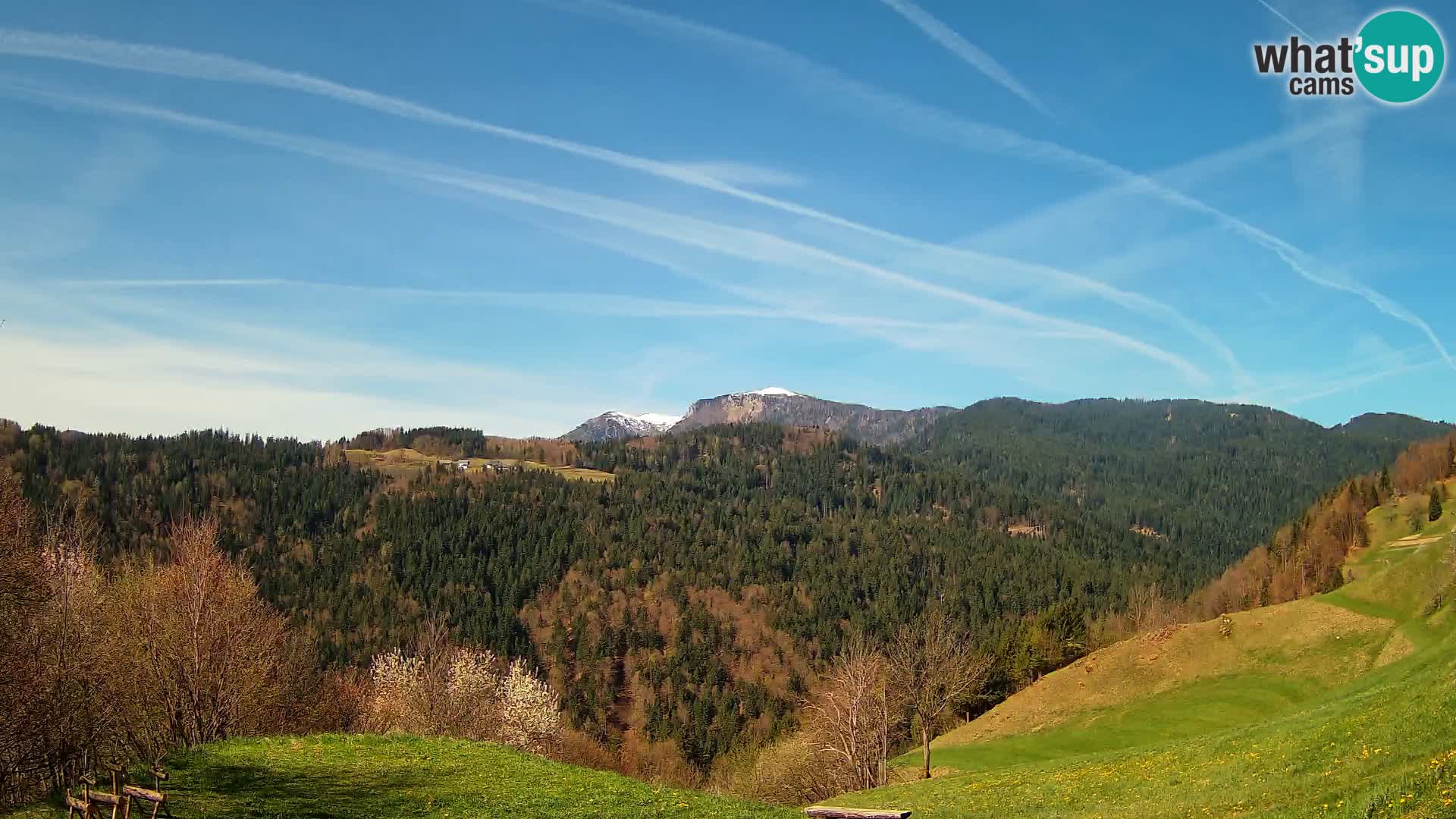 Spletna kamera Brunarica Dražgoše – Pogled v živo na Ratitovec (1666 m)