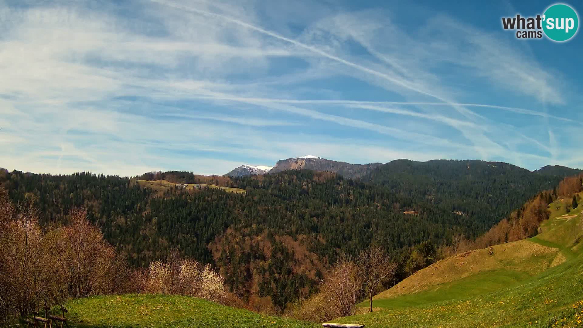 Spletna kamera Brunarica Dražgoše – Pogled v živo na Ratitovec (1666 m)