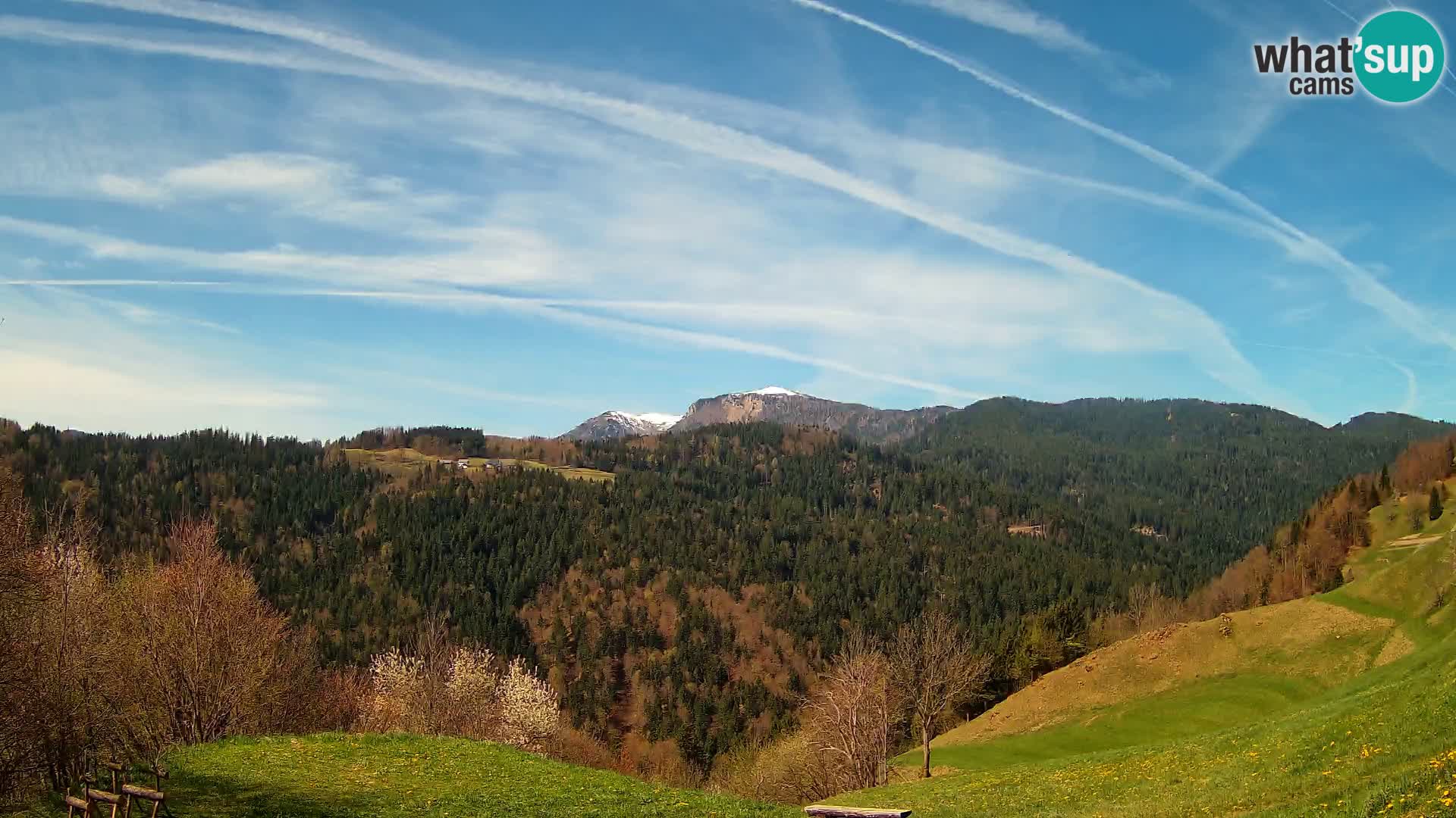 Webcam Brunarica Dražgoše – Live View of Ratitovec (1666 m)