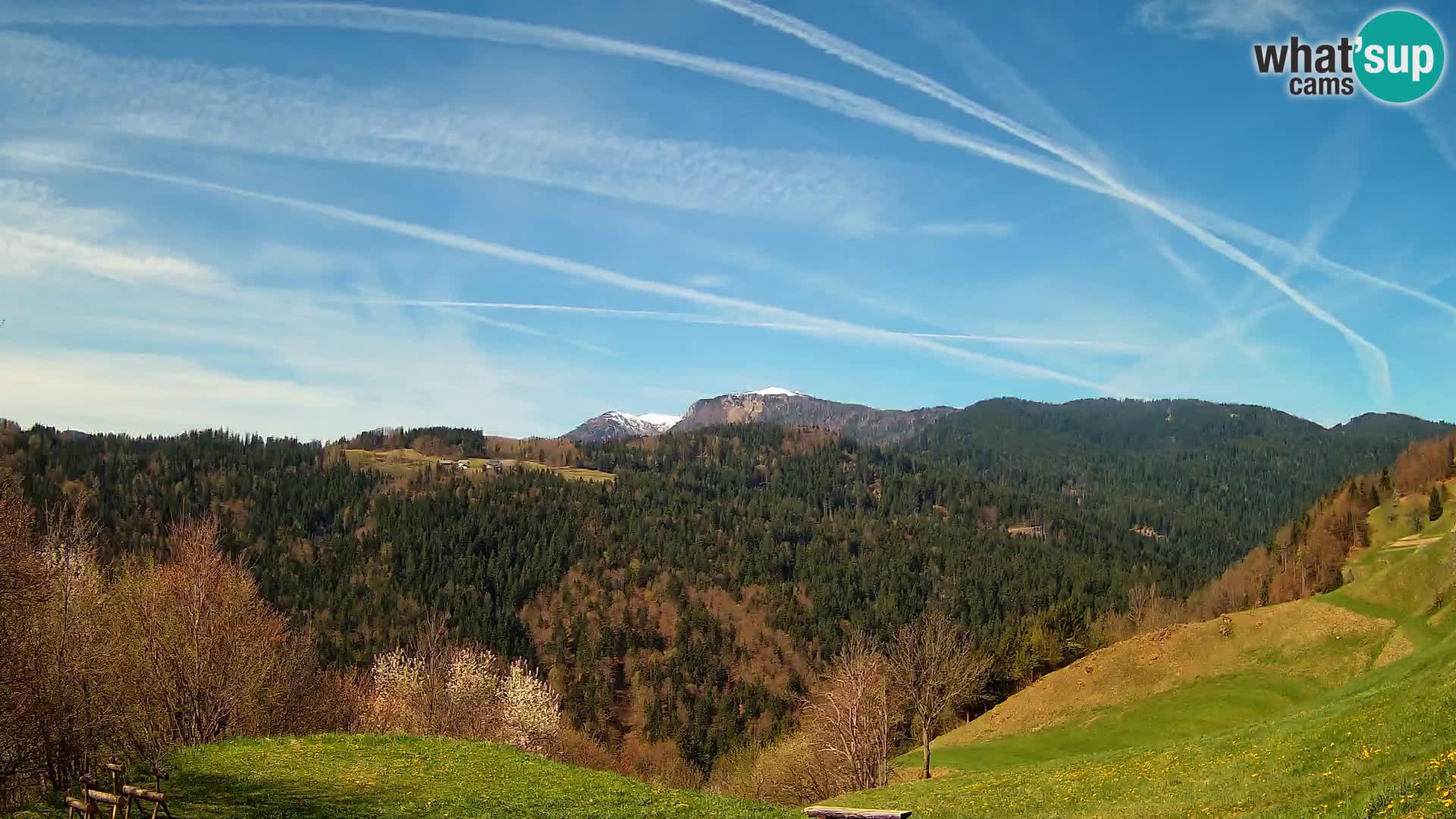 Webcam Brunarica Dražgoše – Vista live sul Ratitovec (1666 m)