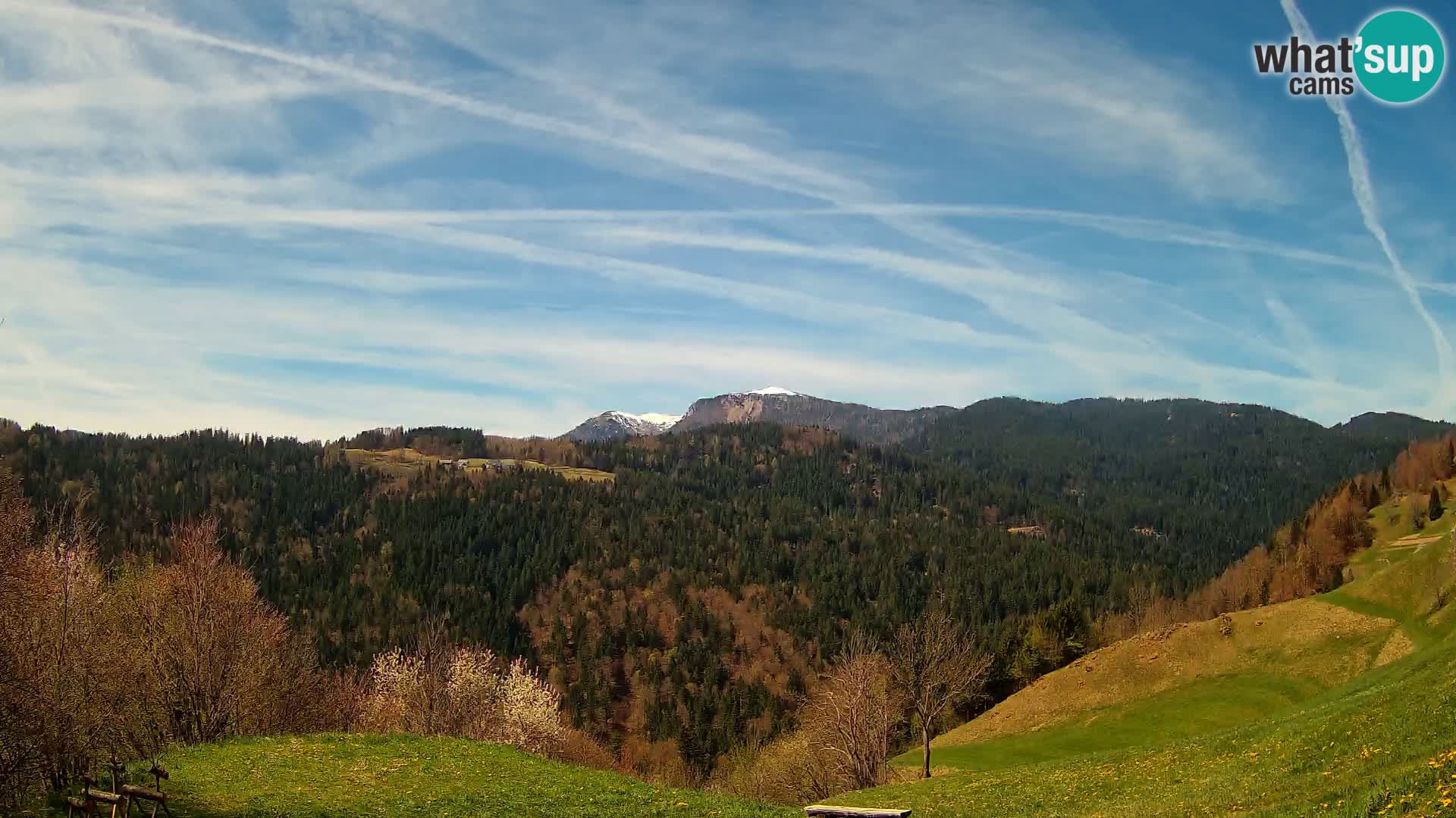 Webcam Brunarica Dražgoše – Live View of Ratitovec (1666 m)