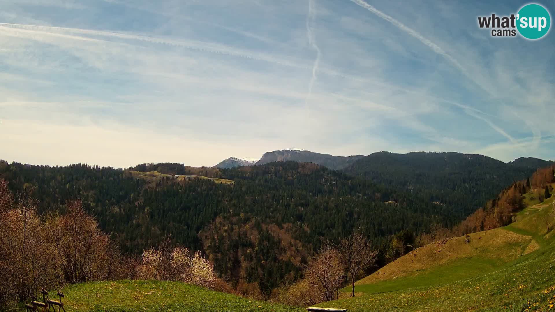 Webcam Brunarica Dražgoše – Live View of Ratitovec (1666 m)