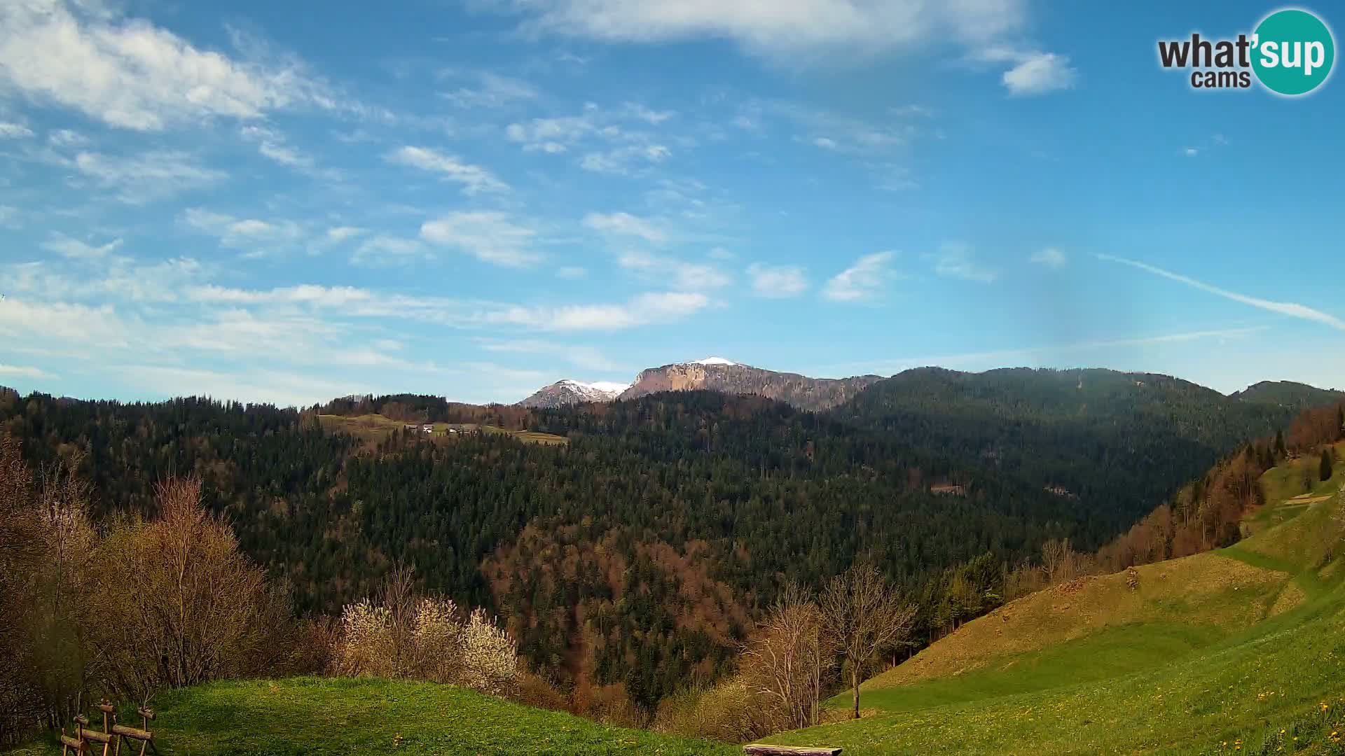 Webcam Brunarica Dražgoše – Live View of Ratitovec (1666 m)