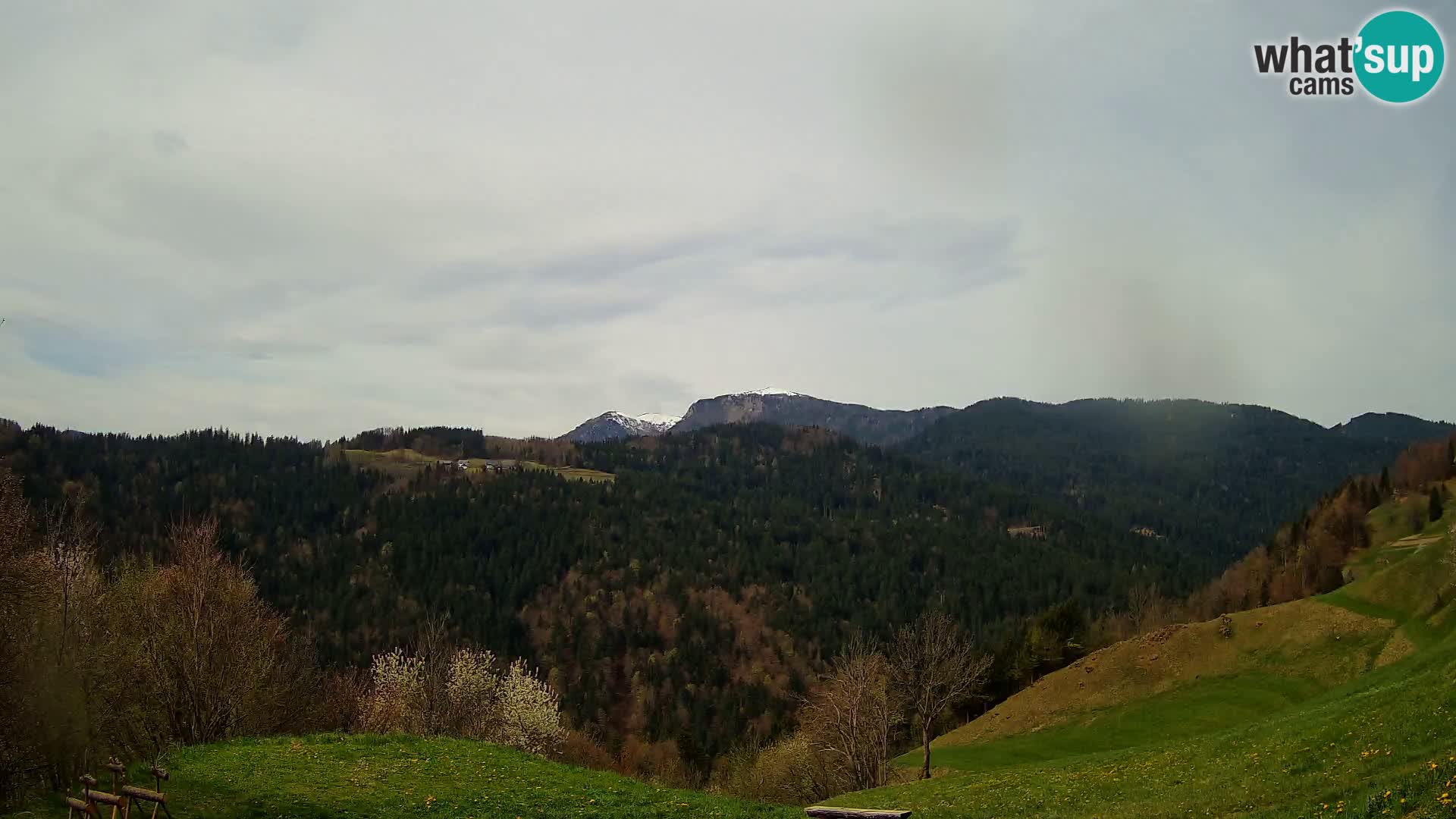 Webcam Brunarica Dražgoše – Live View of Ratitovec (1666 m)