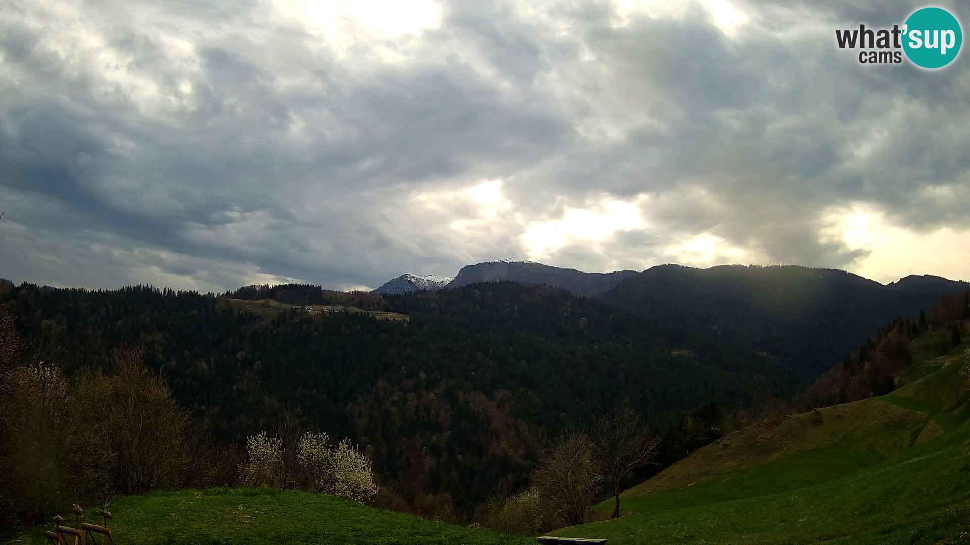 Webcam Brunarica Dražgoše – Live View of Ratitovec (1666 m)