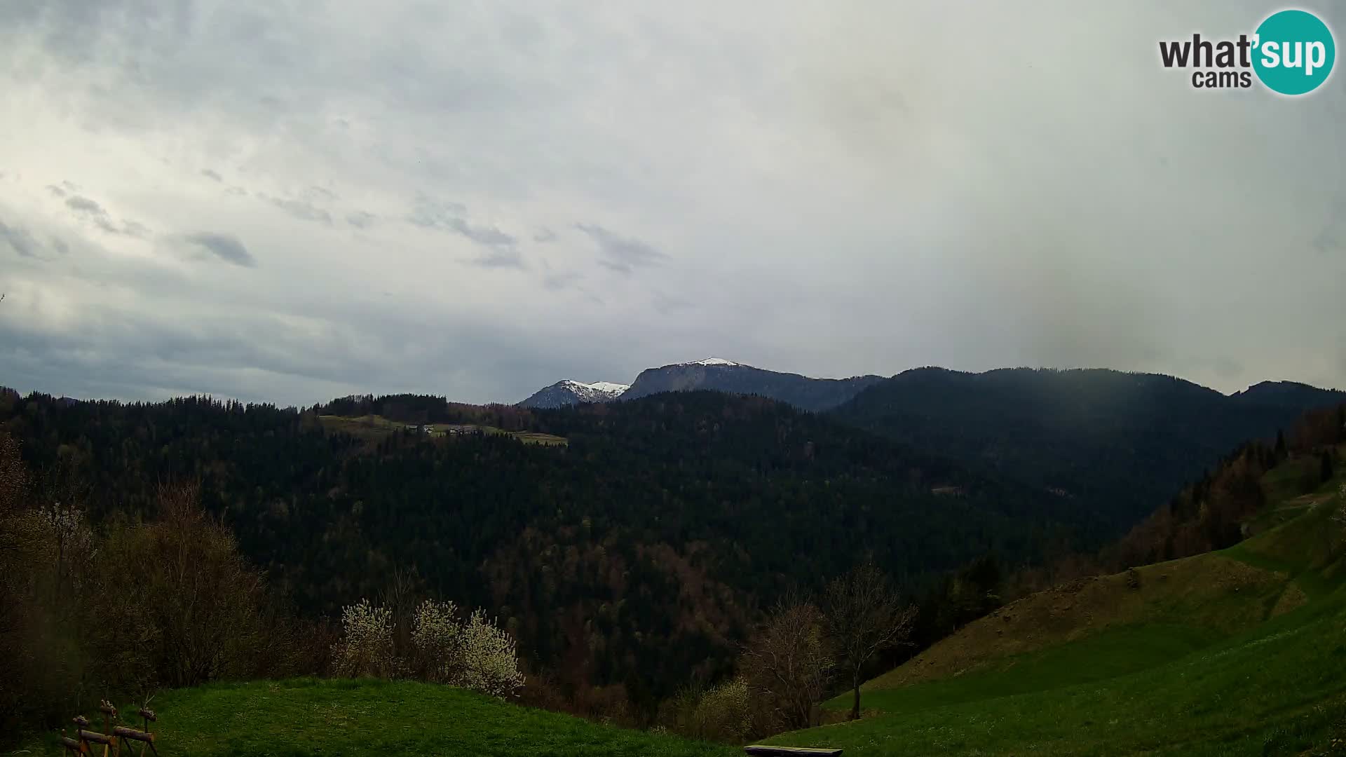 Web kamera Brunarica Dražgoše – Pogled uživo na Ratitovec (1666 m)