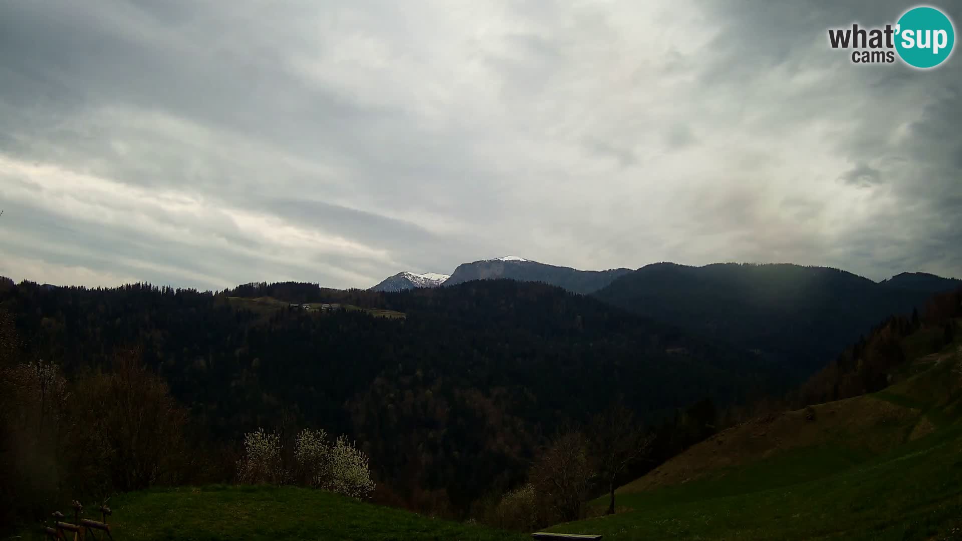 Webcam Brunarica Dražgoše – Vista live sul Ratitovec (1666 m)