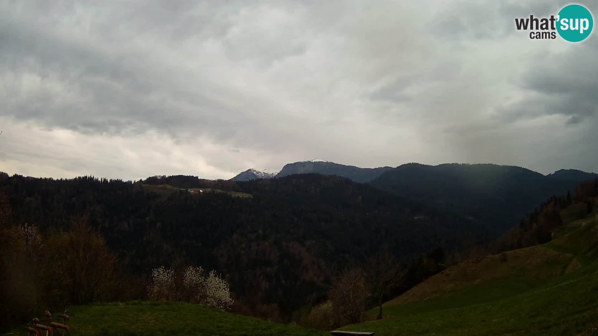 Webcam Brunarica Dražgoše – Live View of Ratitovec (1666 m)