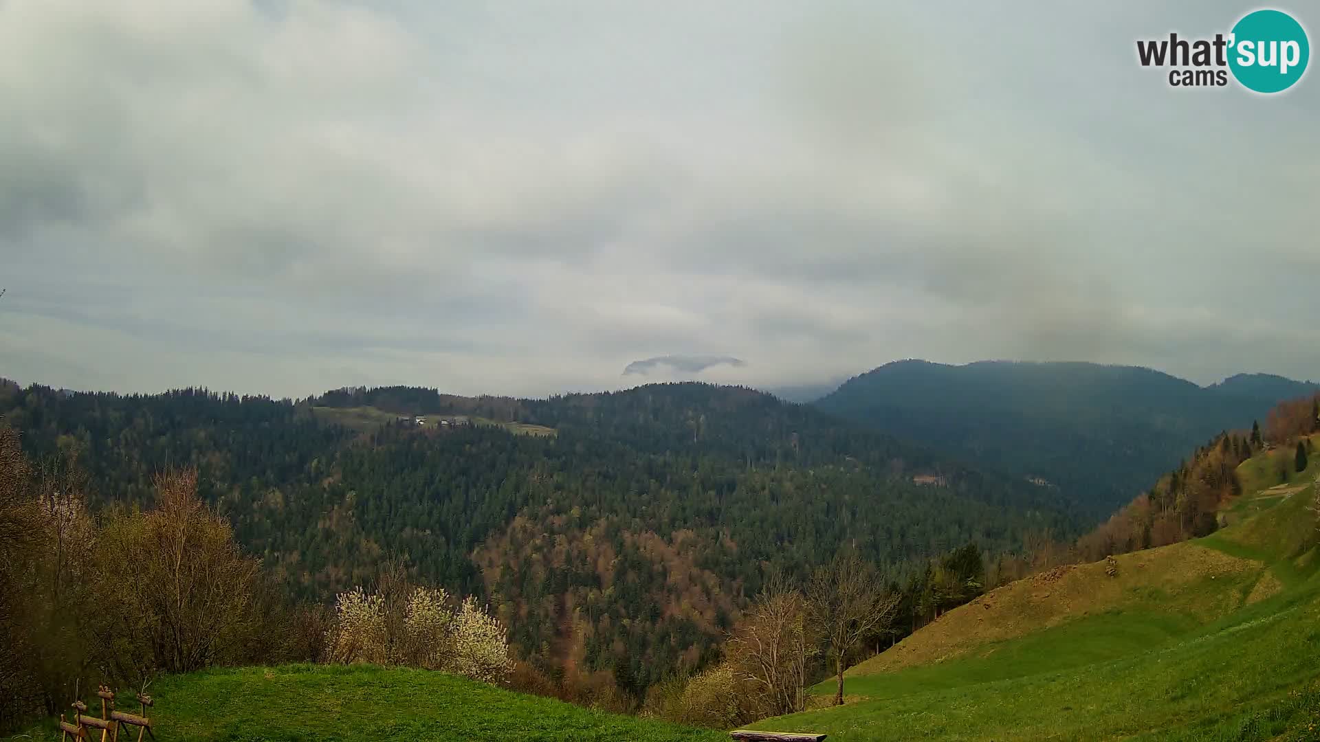 Webcam Brunarica Dražgoše – Live View of Ratitovec (1666 m)