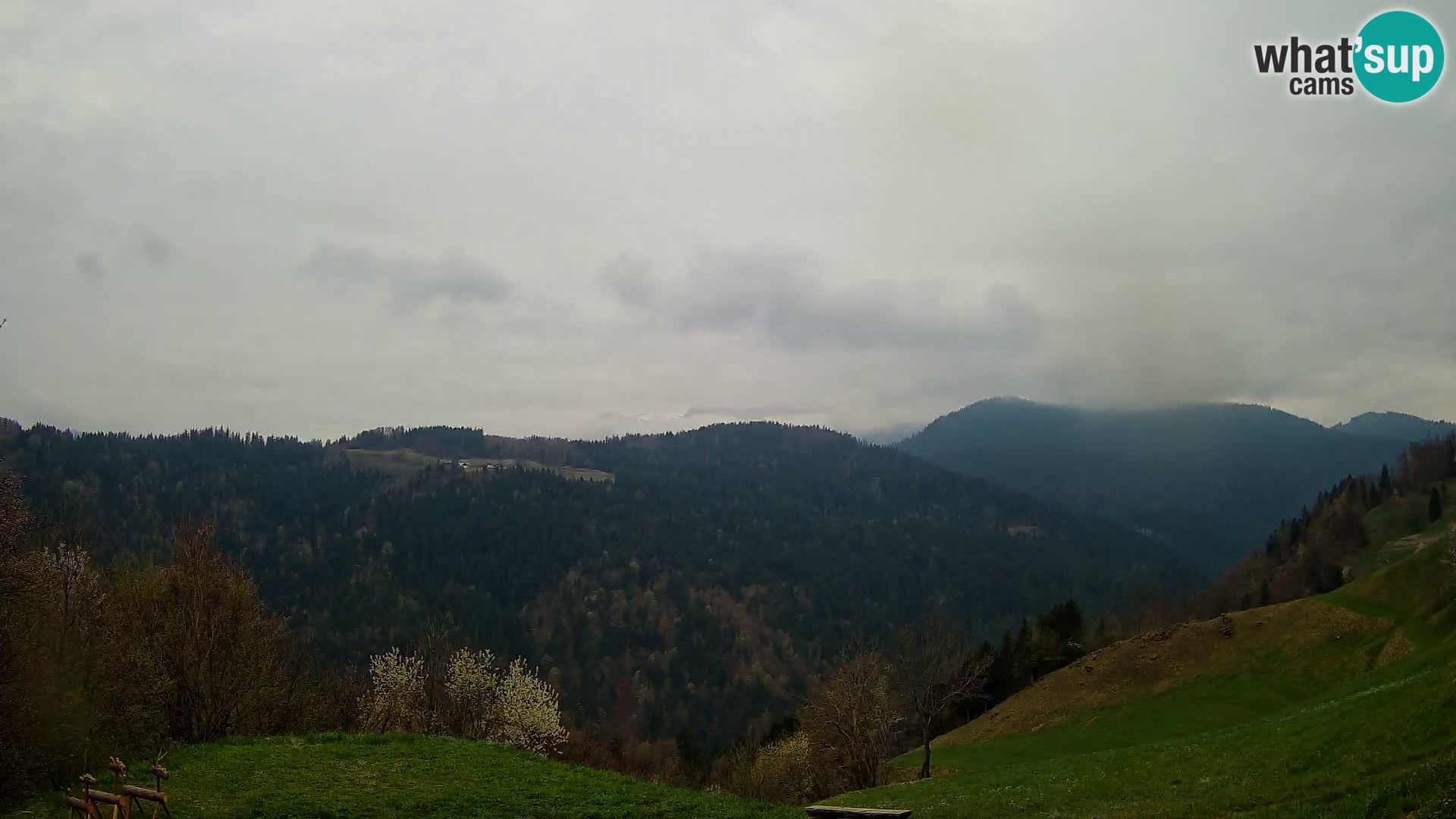 Webcam Brunarica Dražgoše – Vista live sul Ratitovec (1666 m)