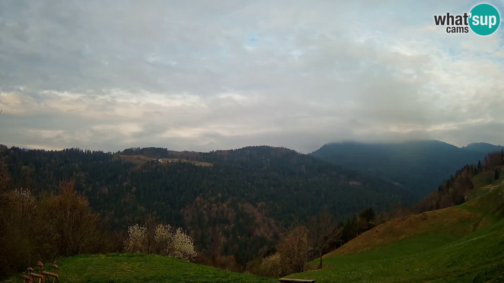 Webcam Brunarica Dražgoše – Live View of Ratitovec (1666 m)