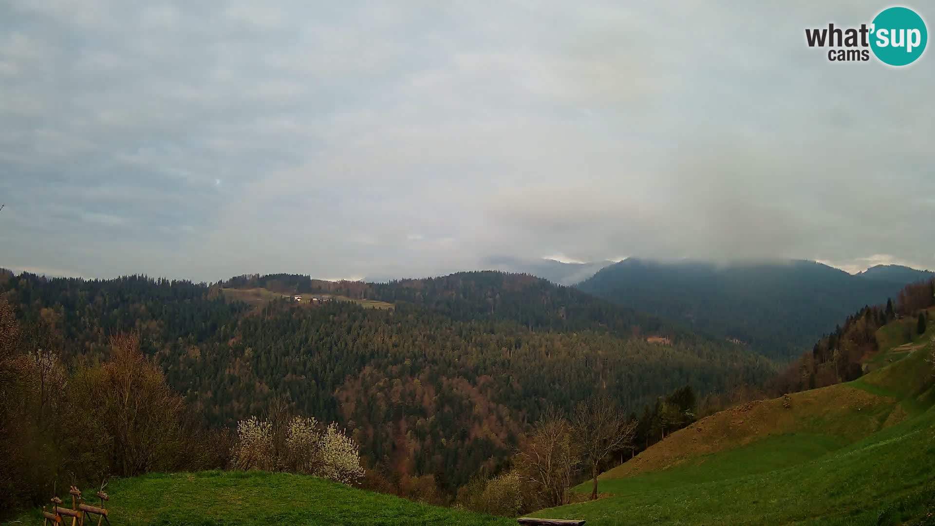 Webcam Brunarica Dražgoše – Live View of Ratitovec (1666 m)