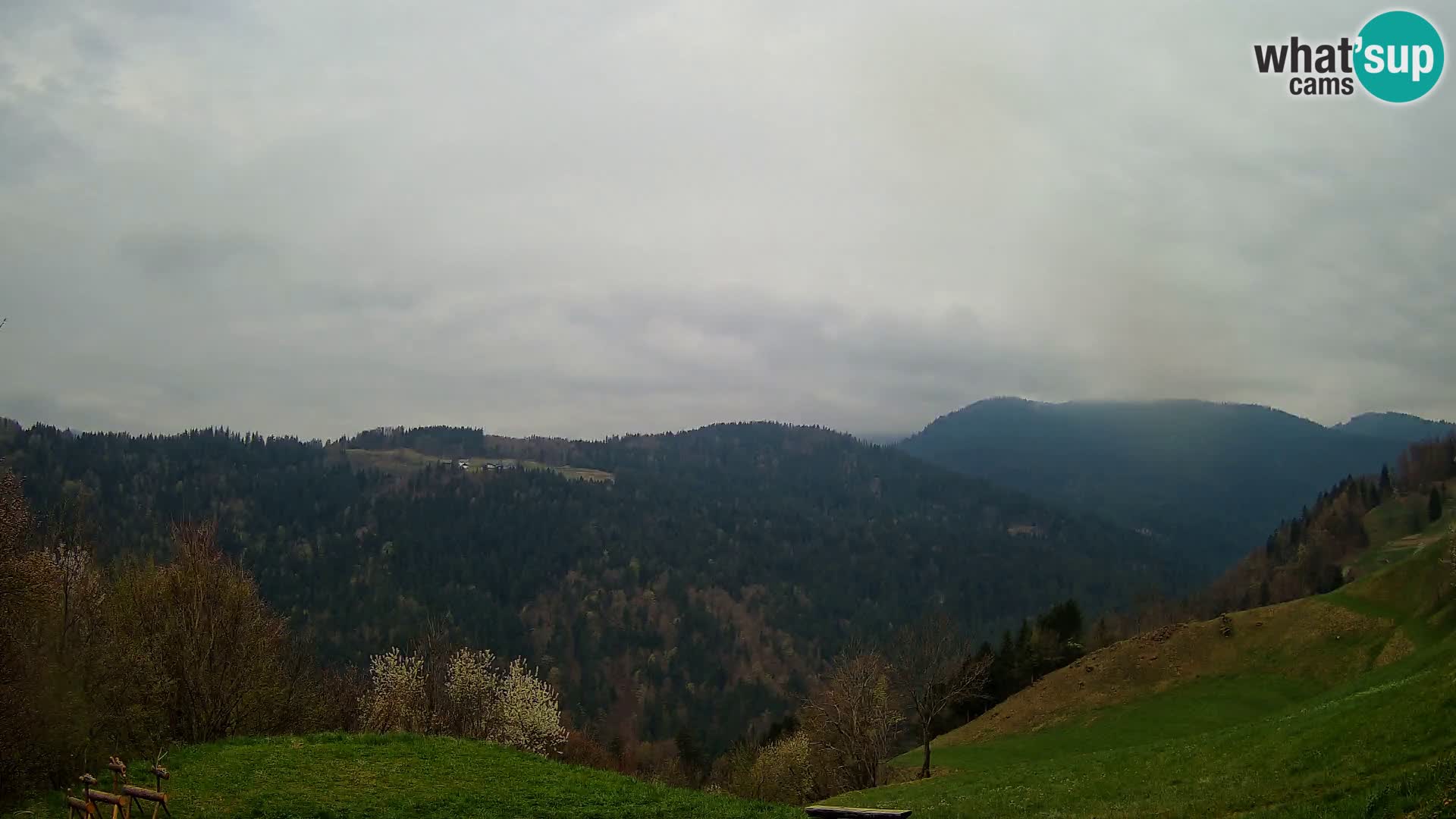 Webcam Brunarica Dražgoše – Live View of Ratitovec (1666 m)