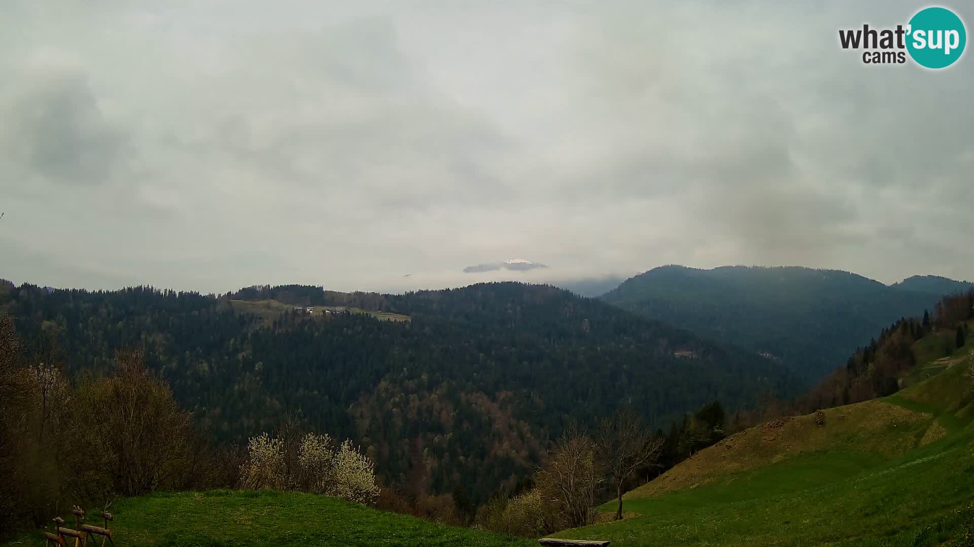 Spletna kamera Brunarica Dražgoše – Pogled v živo na Ratitovec (1666 m)