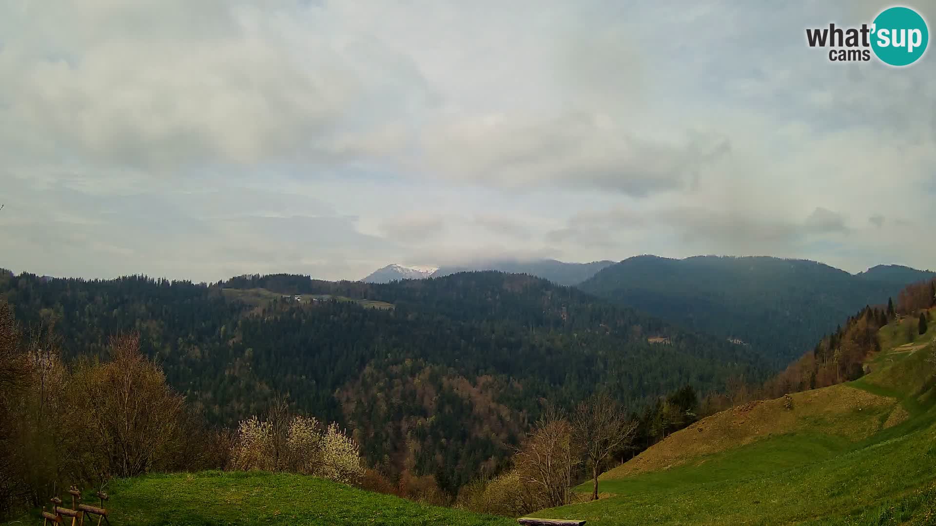 Webcam Brunarica Dražgoše – Live View of Ratitovec (1666 m)