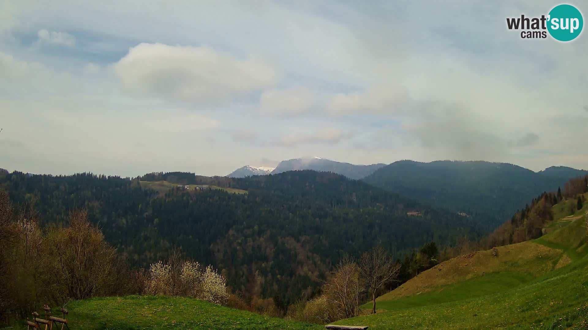 Webcam Brunarica Dražgoše – Live View of Ratitovec (1666 m)