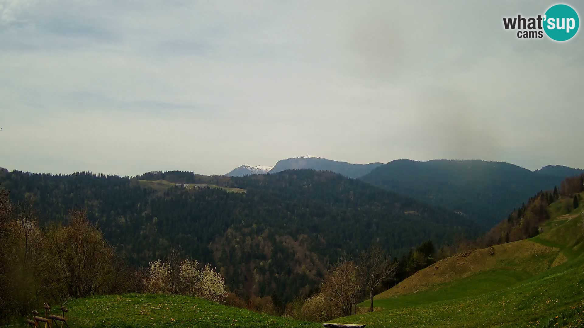 Spletna kamera Brunarica Dražgoše – Pogled v živo na Ratitovec (1666 m)
