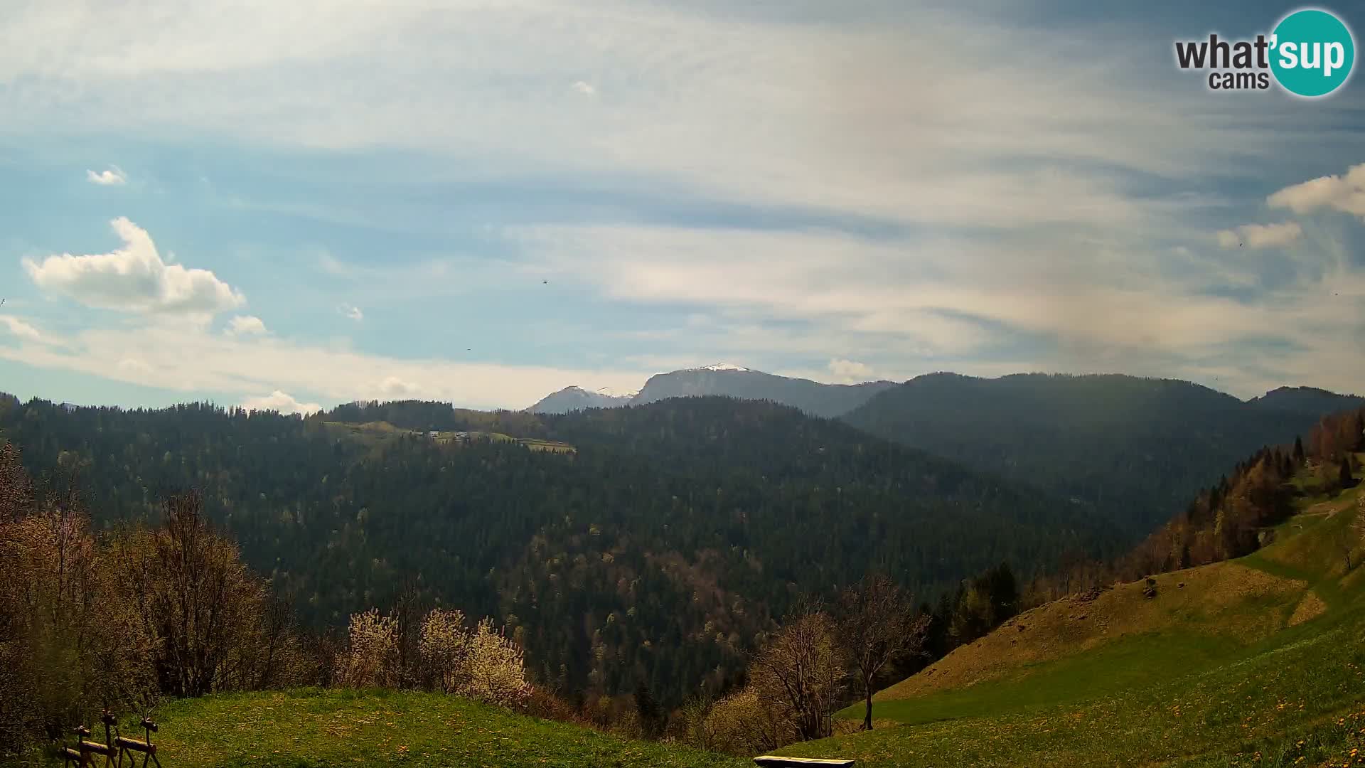 Webcam Brunarica Dražgoše – Vista live sul Ratitovec (1666 m)