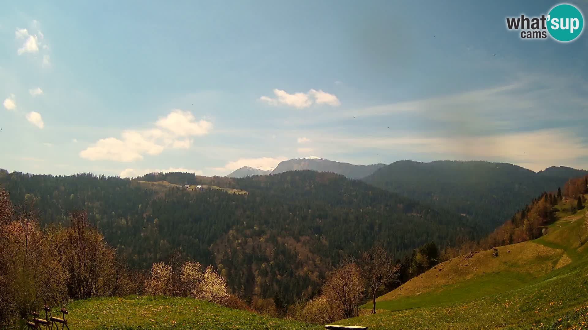 Webcam Brunarica Dražgoše – Live View of Ratitovec (1666 m)