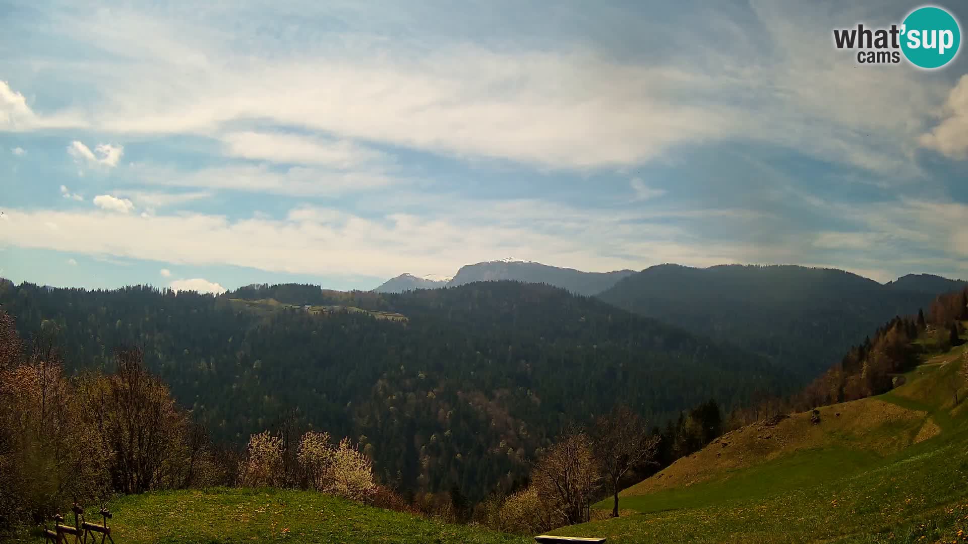 Webcam Brunarica Dražgoše – Live View of Ratitovec (1666 m)