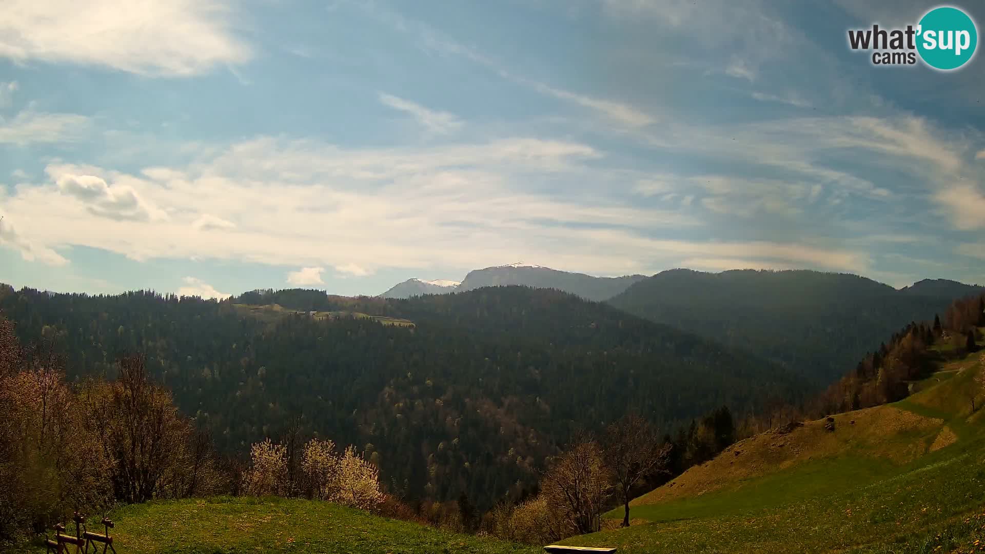 Webcam Brunarica Dražgoše – Live View of Ratitovec (1666 m)