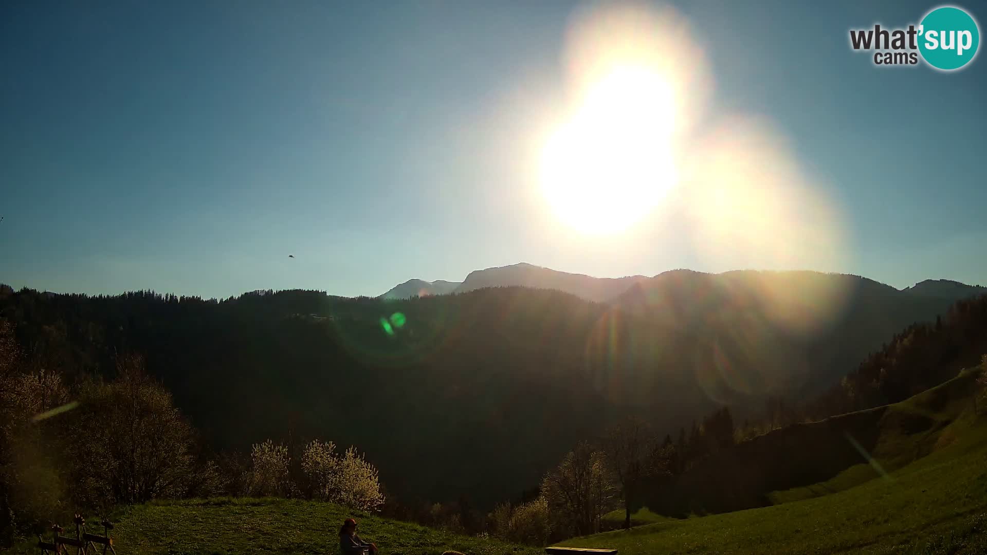 Webcam Brunarica Dražgoše – Live View of Ratitovec (1666 m)