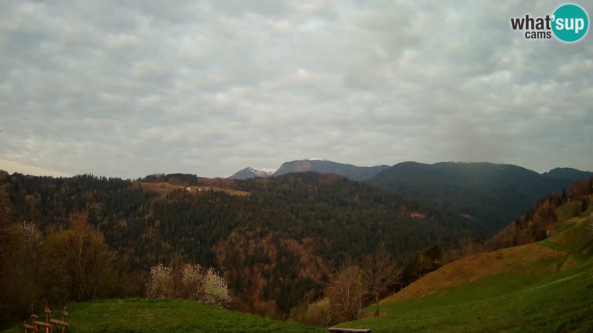 Webcam Brunarica Dražgoše – Liveblick auf Ratitovec (1666 m)