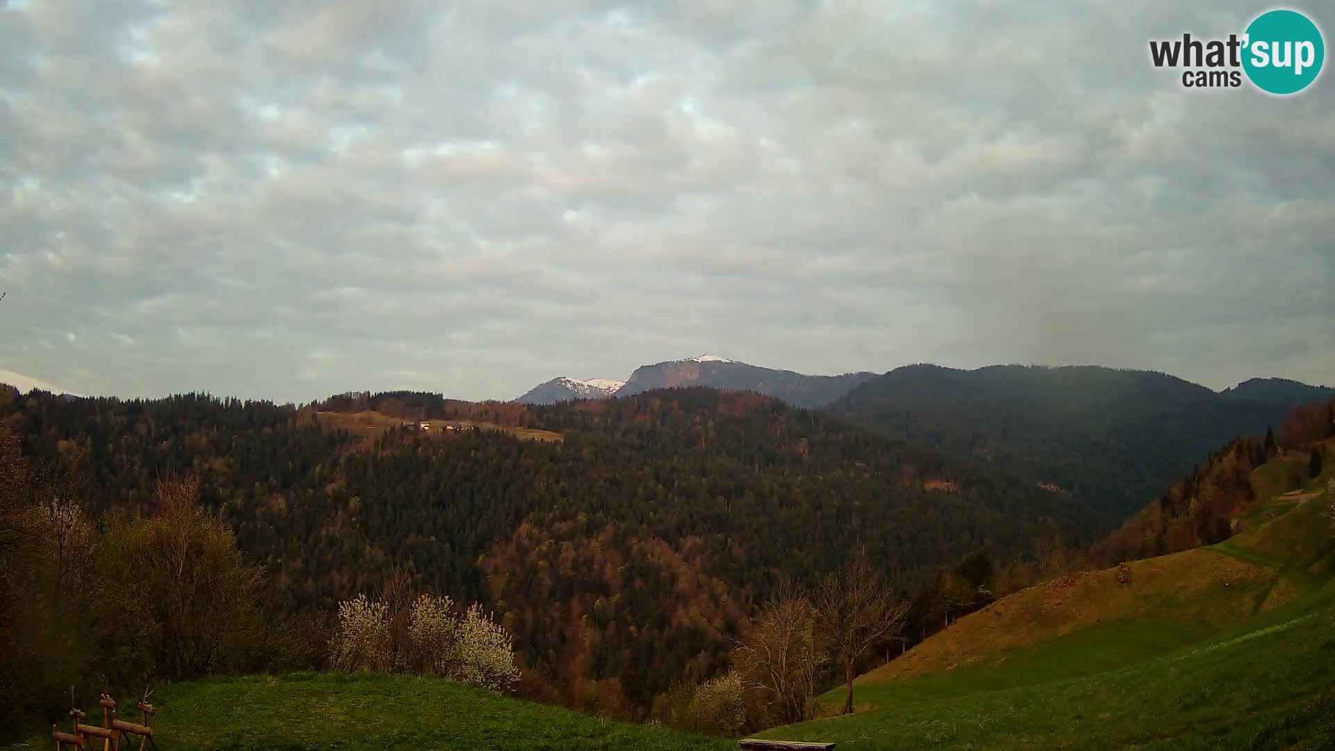 Webcam Brunarica Dražgoše – Live View of Ratitovec (1666 m)