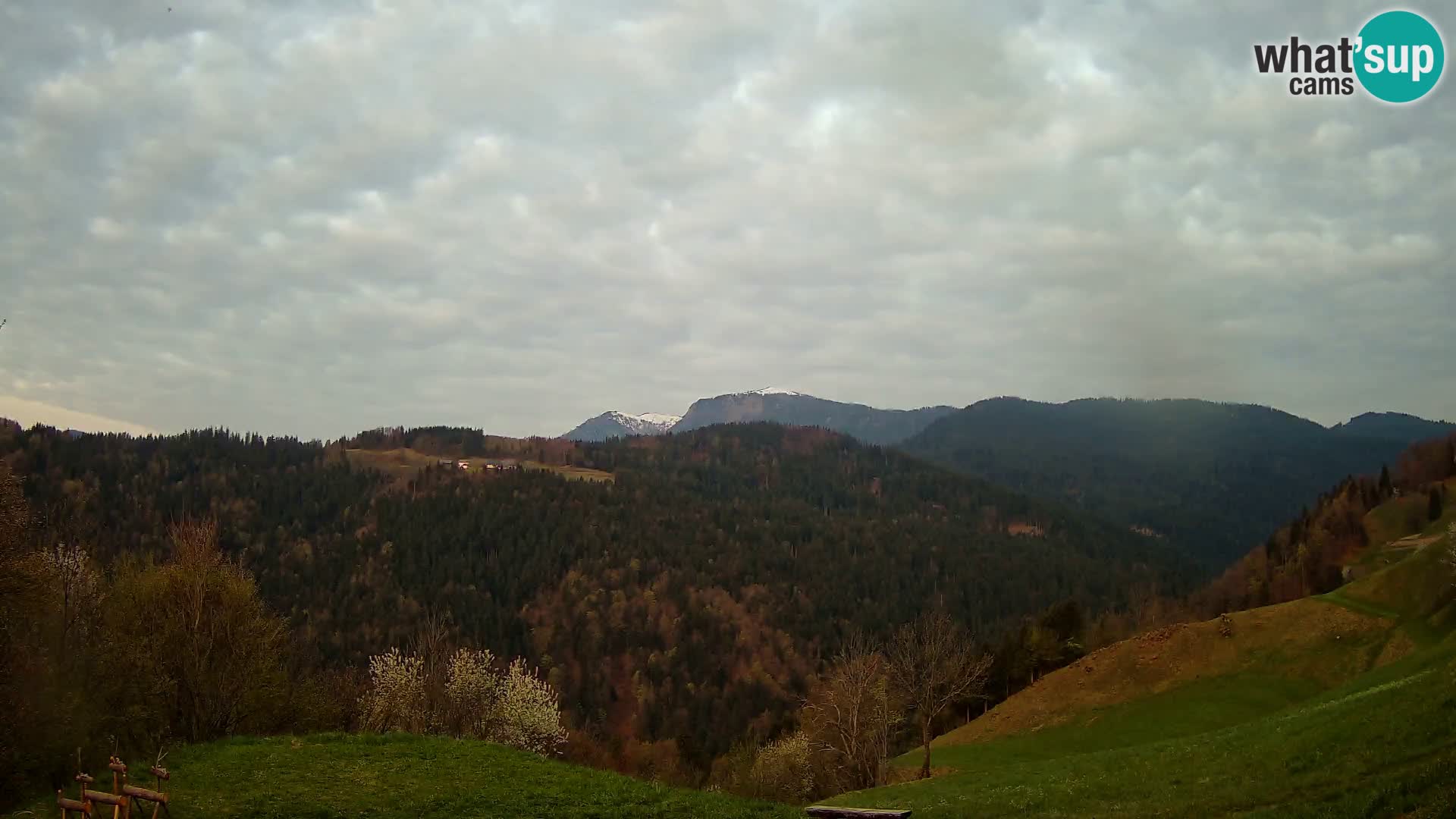 Spletna kamera Brunarica Dražgoše – Pogled v živo na Ratitovec (1666 m)
