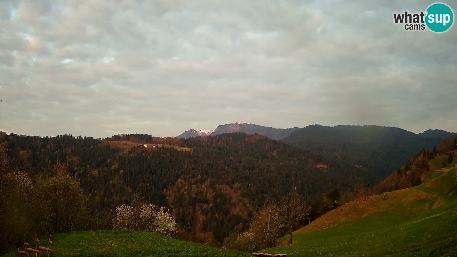 Webcam Brunarica Dražgoše – Liveblick auf Ratitovec (1666 m)