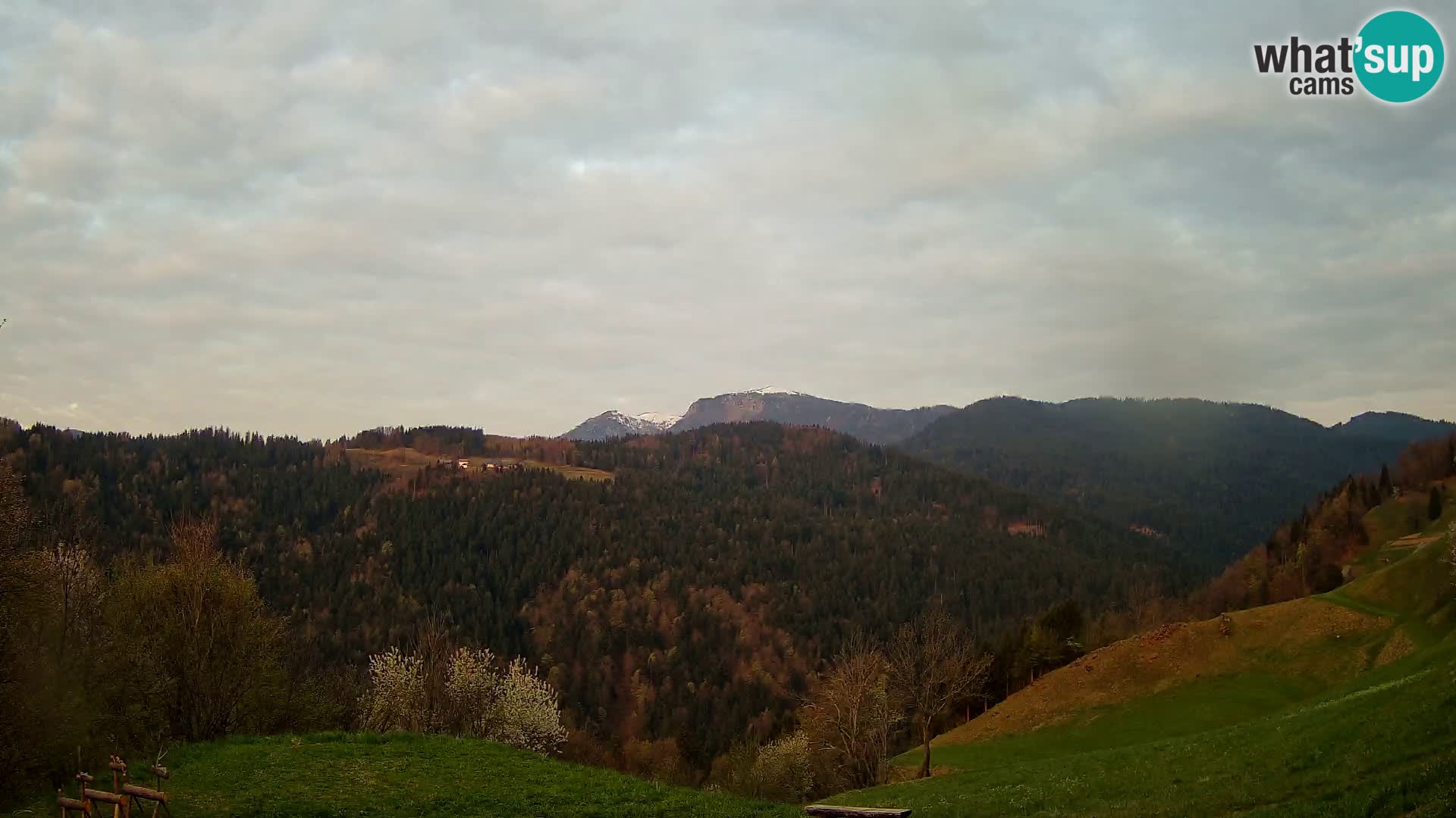 Webcam Brunarica Dražgoše – Vista live sul Ratitovec (1666 m)