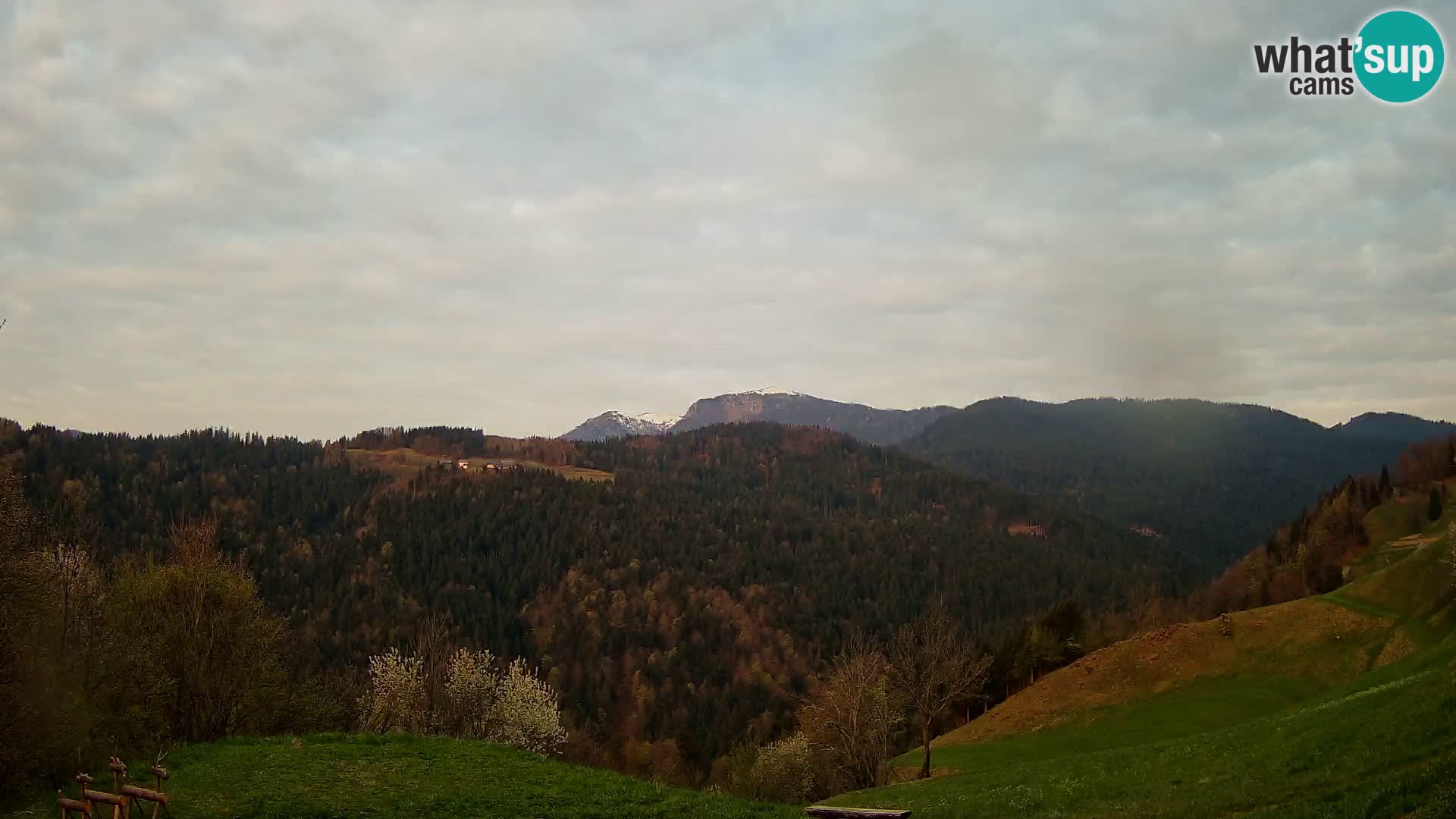 Webcam Brunarica Dražgoše – Vista live sul Ratitovec (1666 m)