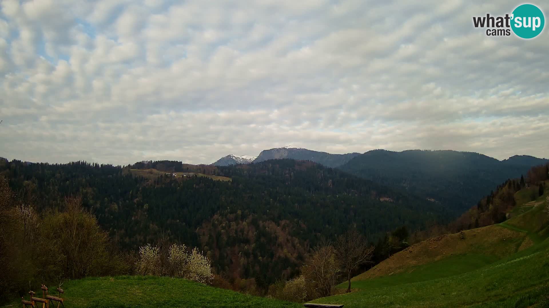 Webcam Brunarica Dražgoše – Live View of Ratitovec (1666 m)