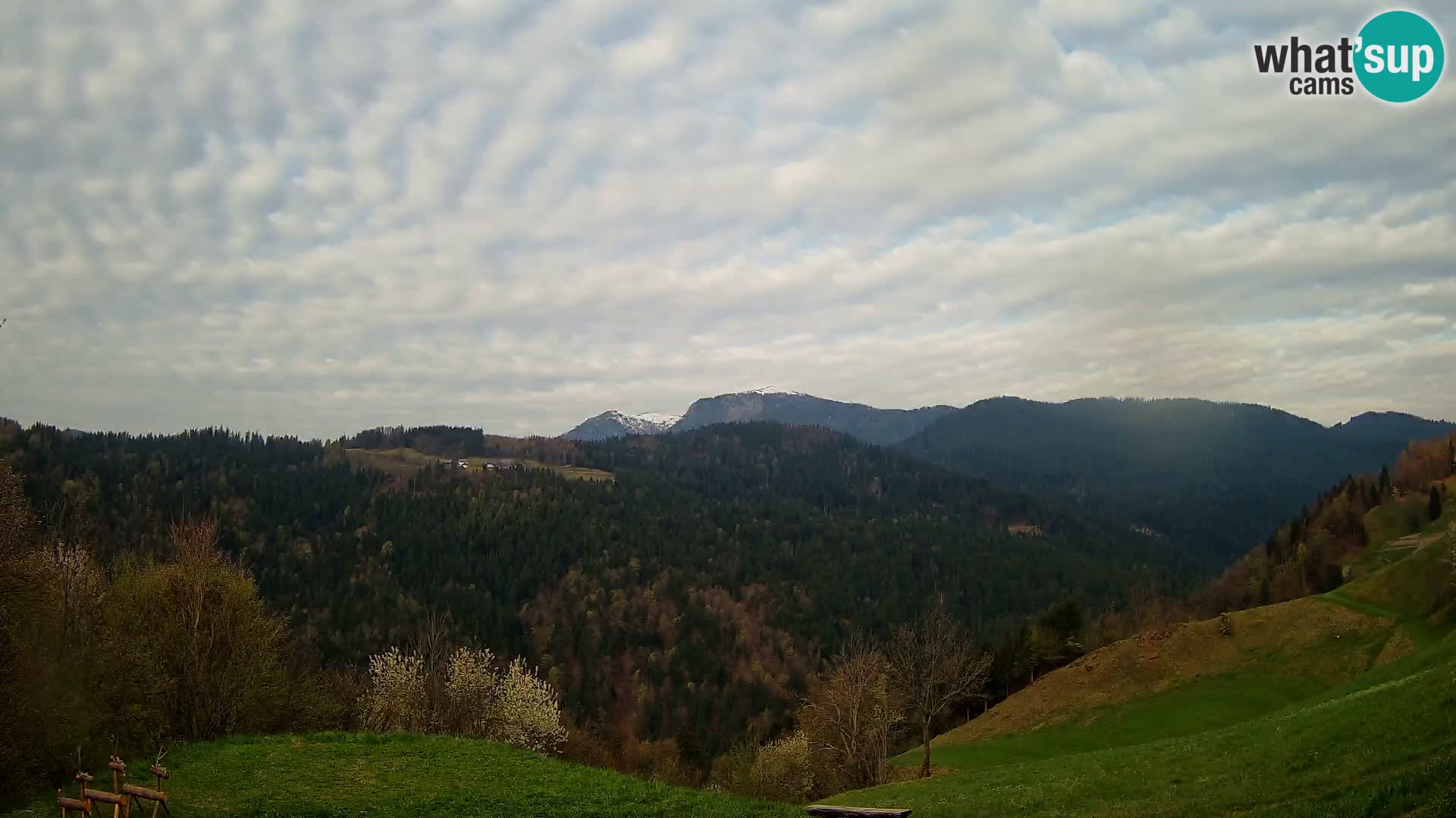 Webcam Brunarica Dražgoše – Vista live sul Ratitovec (1666 m)