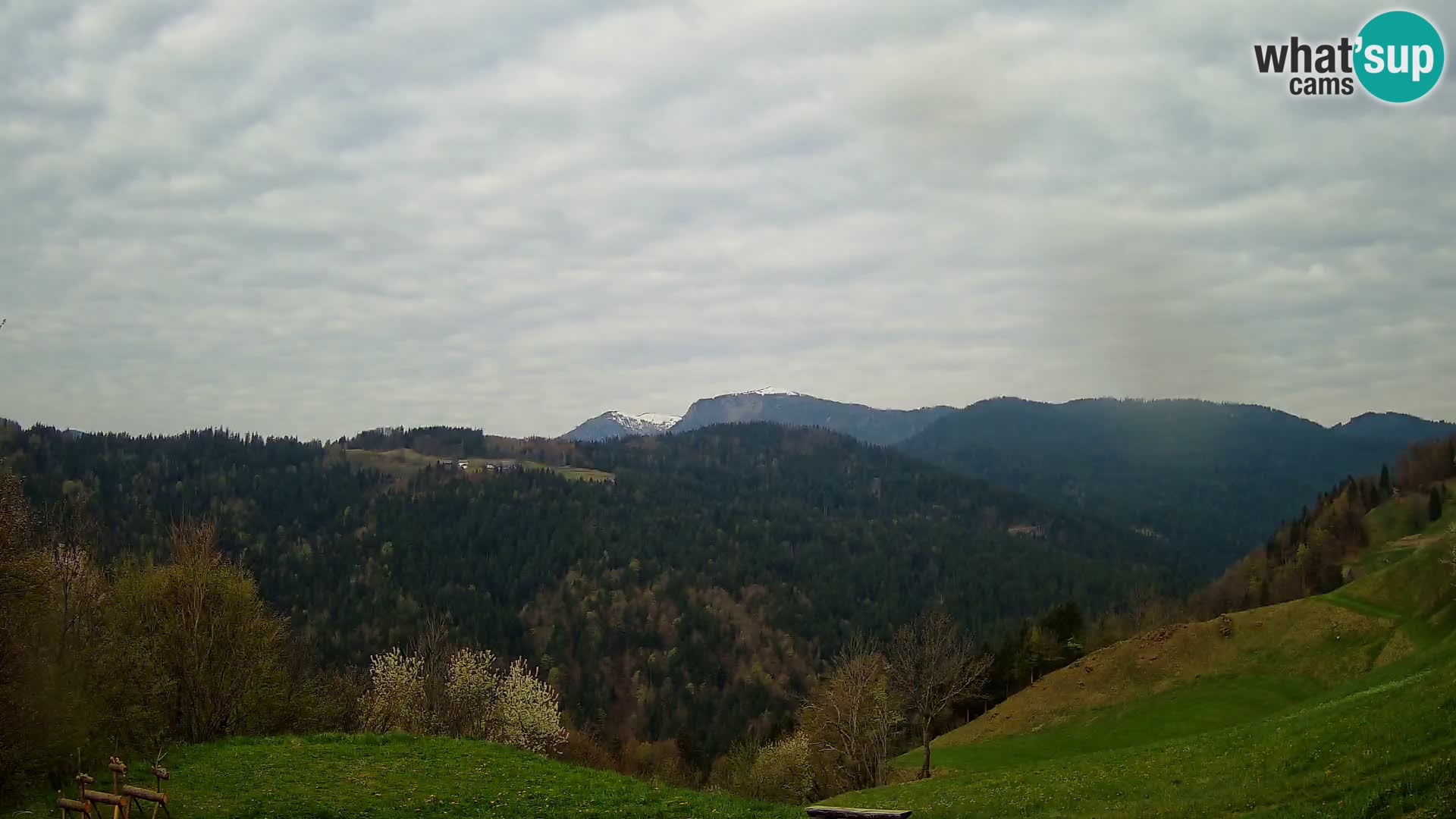Webcam Brunarica Dražgoše – Live View of Ratitovec (1666 m)