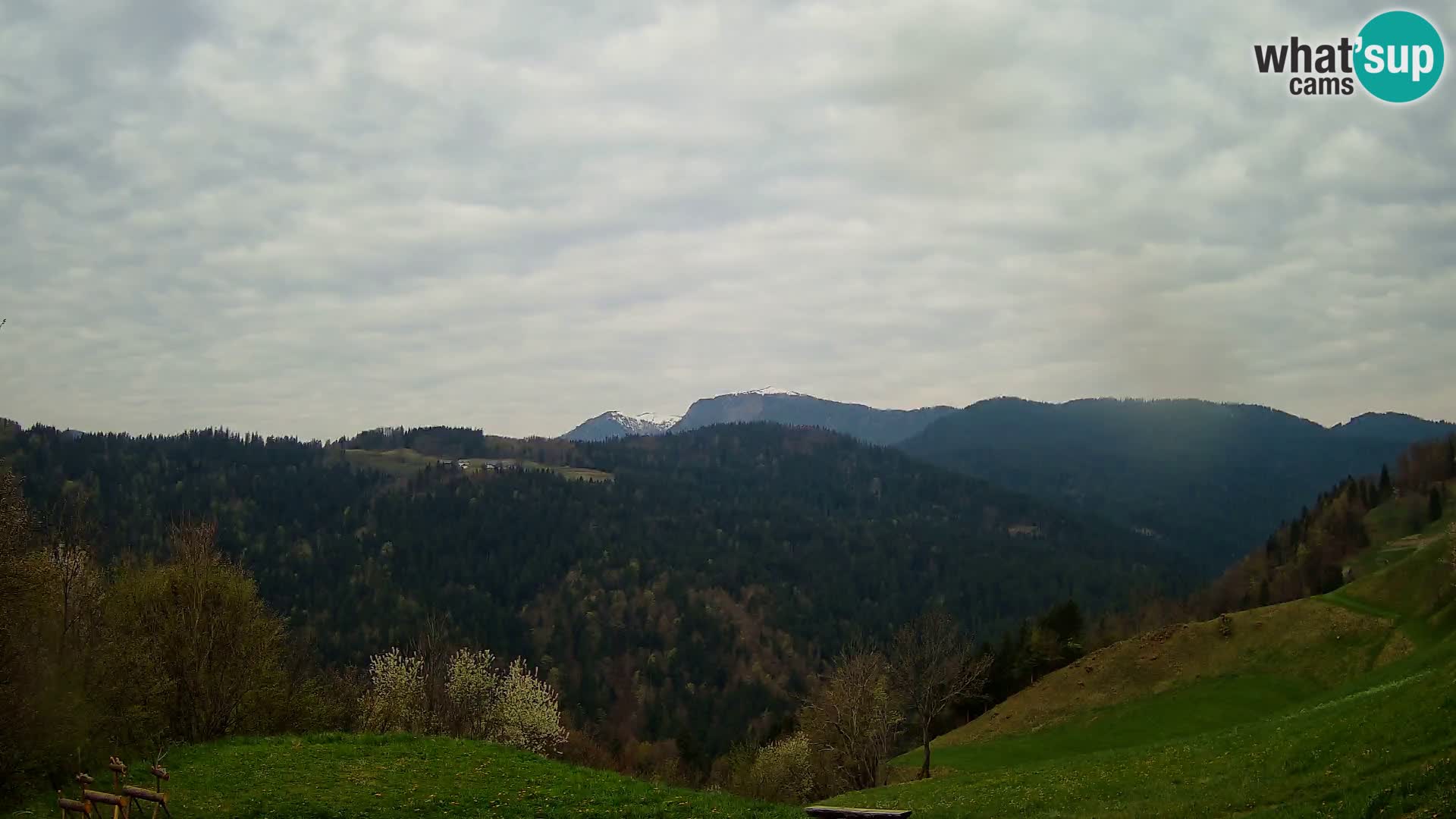 Webcam Brunarica Dražgoše – Vista live sul Ratitovec (1666 m)